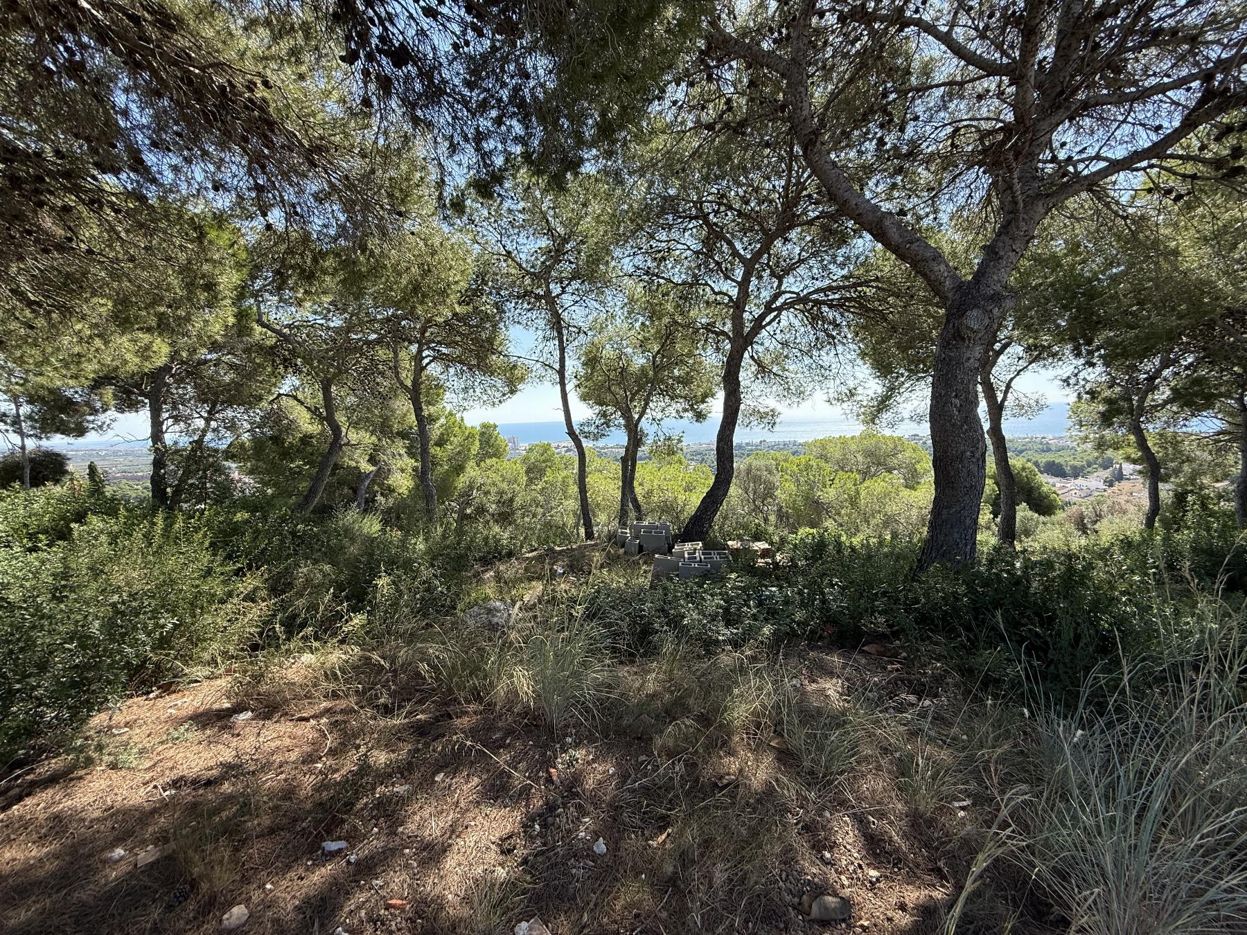 Venta de terreno en Coma - Ruga