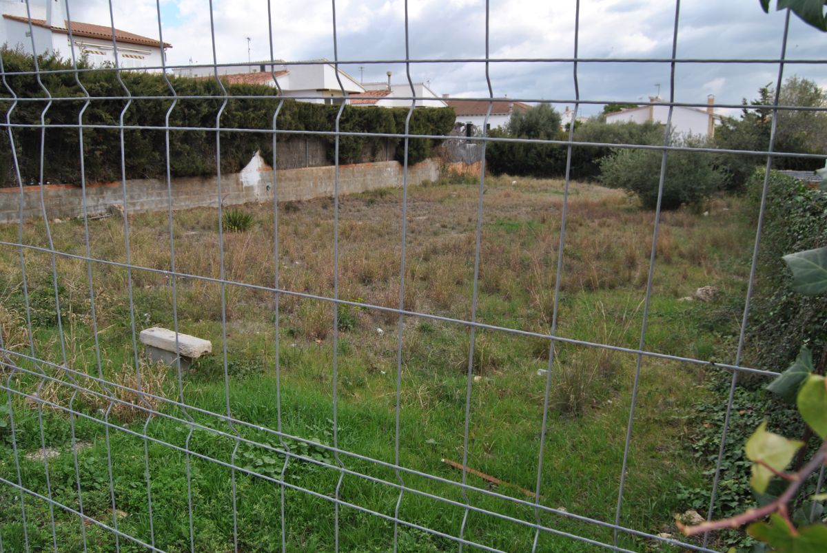 For sale of land in Coma - Ruga