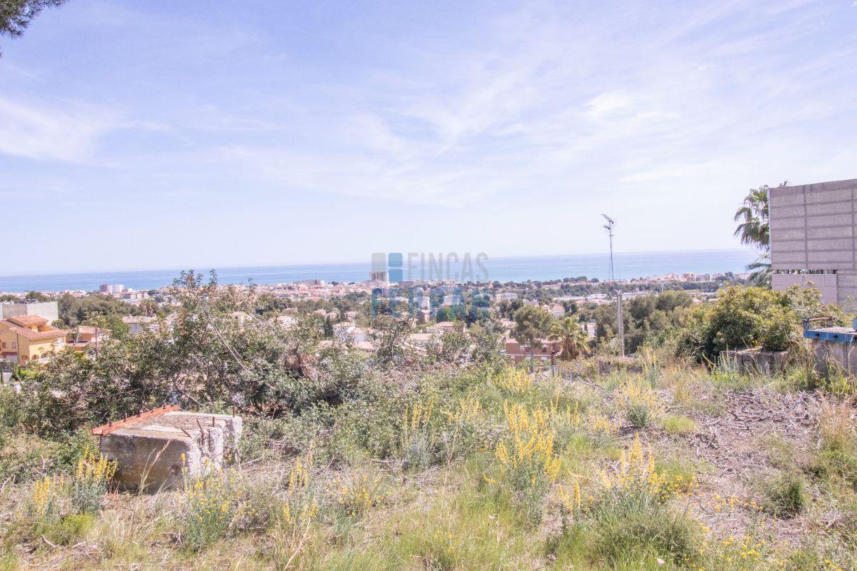 For sale of land in Coma - Ruga