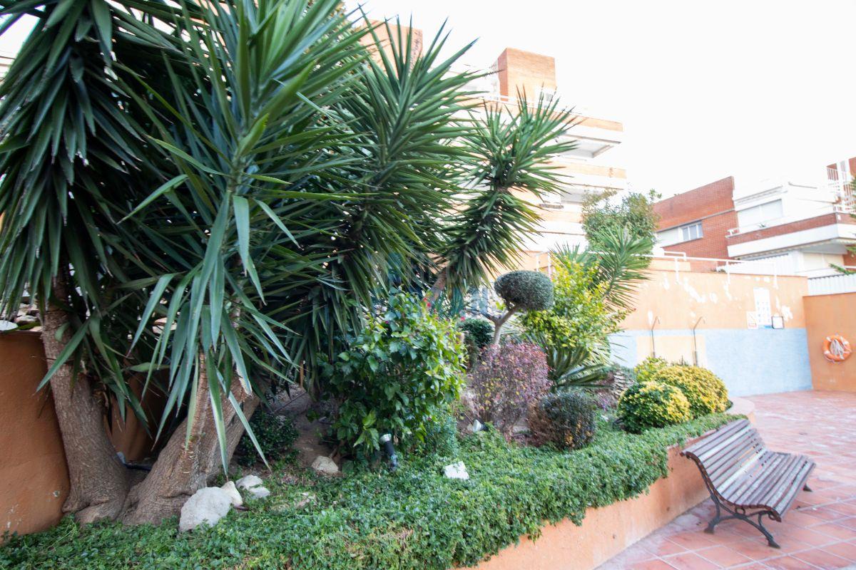 For sale of ground floor in Coma - Ruga