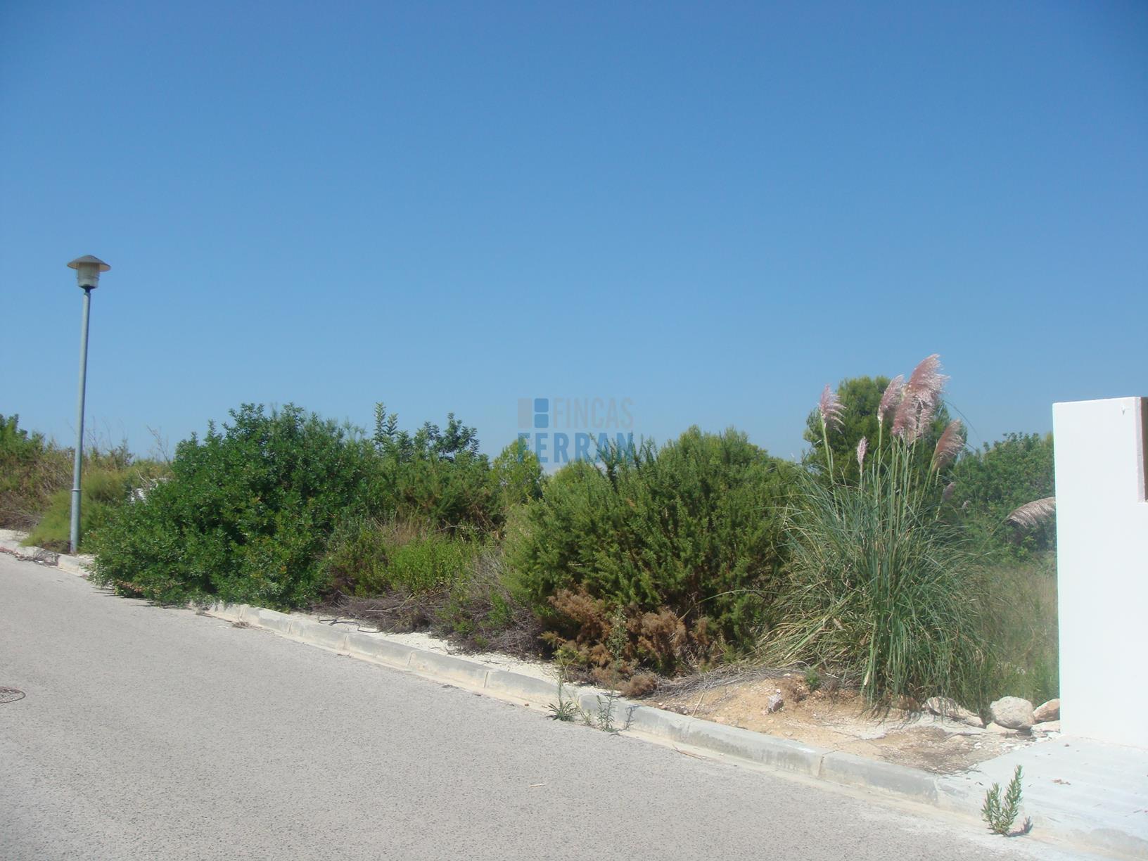 For sale of land in Coma - Ruga