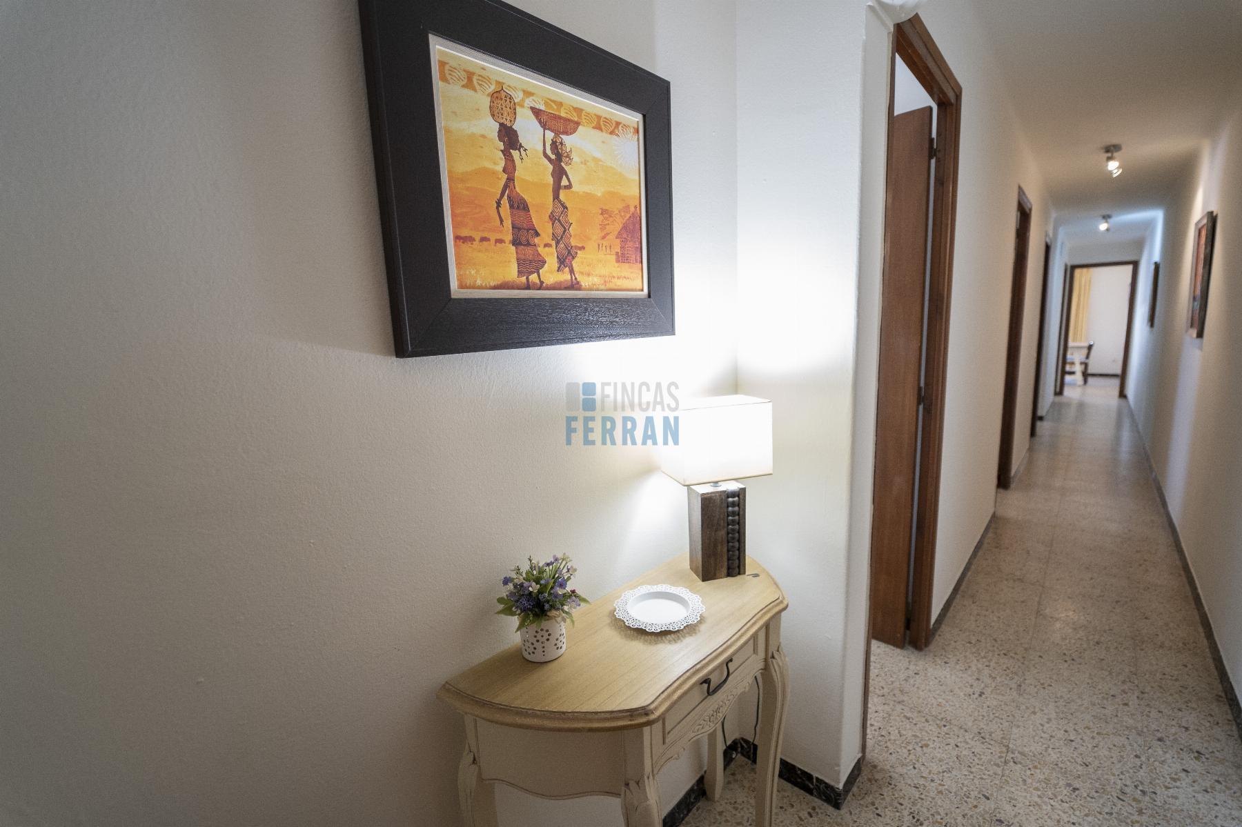 For rent of apartment in Coma - Ruga