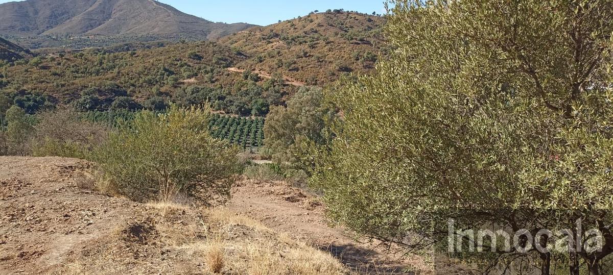 Venta de terreno en Mijas Costa
