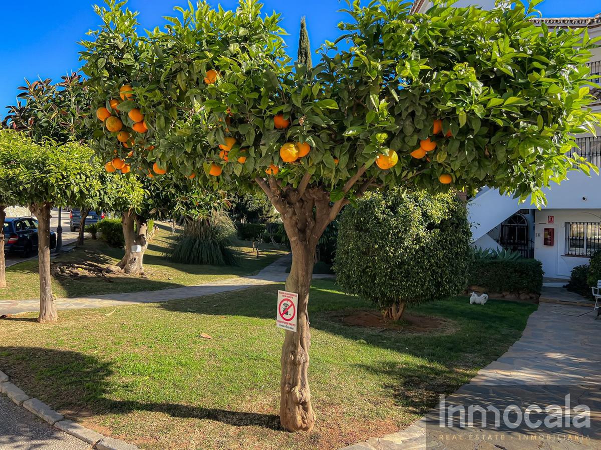 For sale of villa in Mijas
