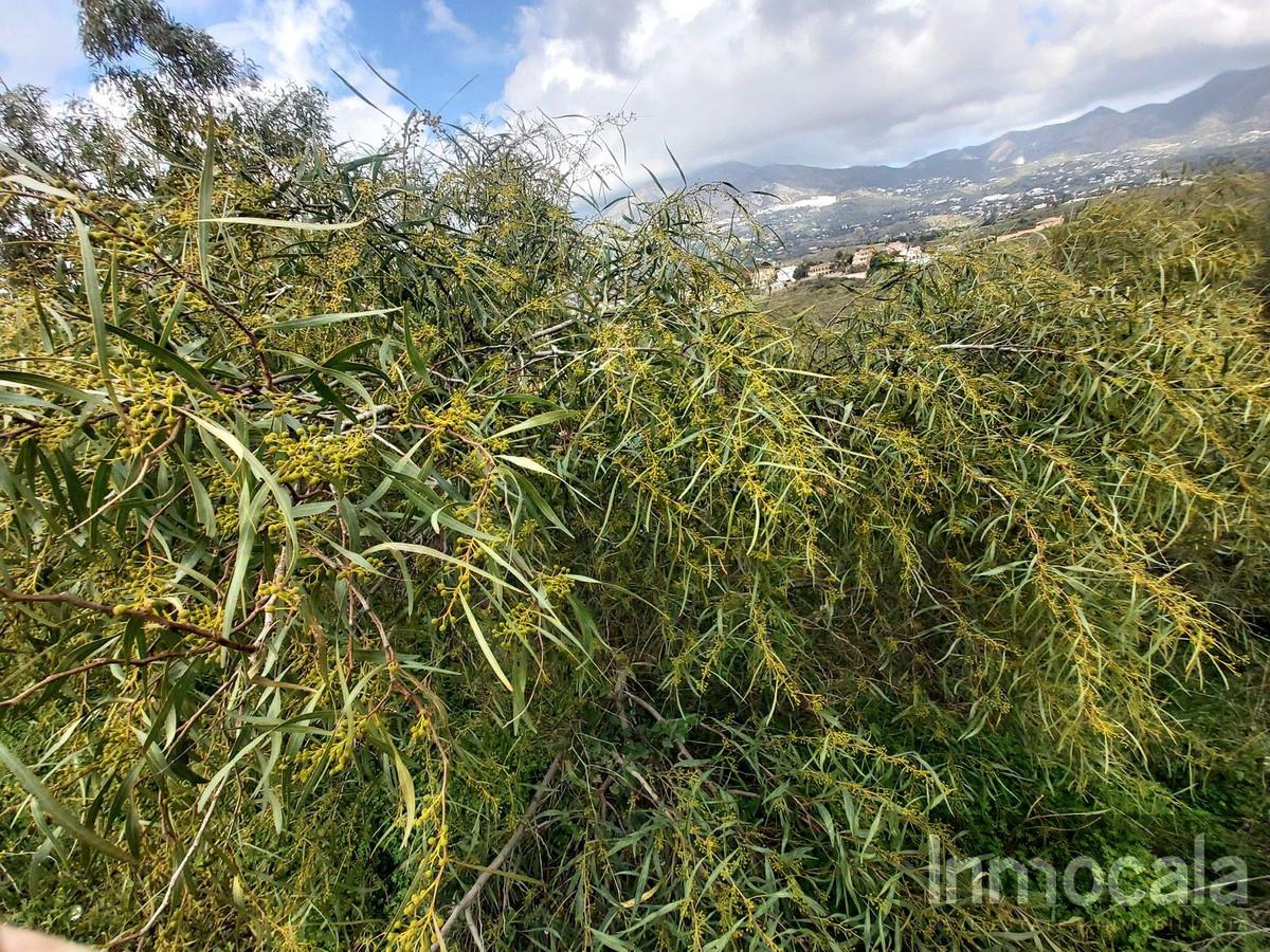 Venta de terreno en Mijas