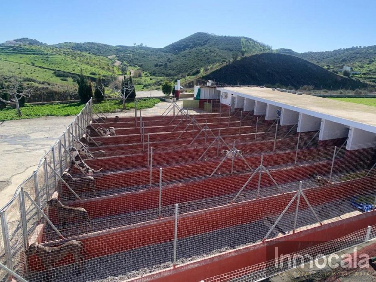 For sale of land in Mijas