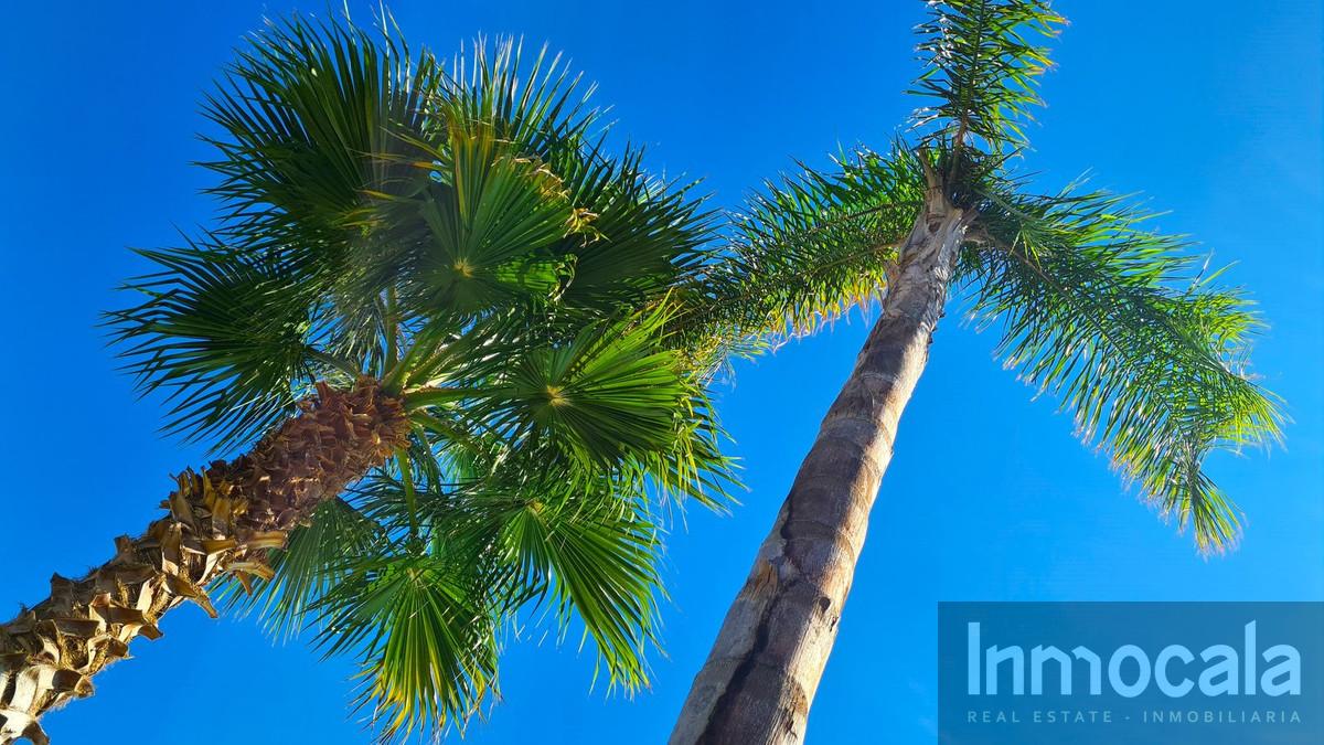 For sale of apartment in La Cala de Mijas