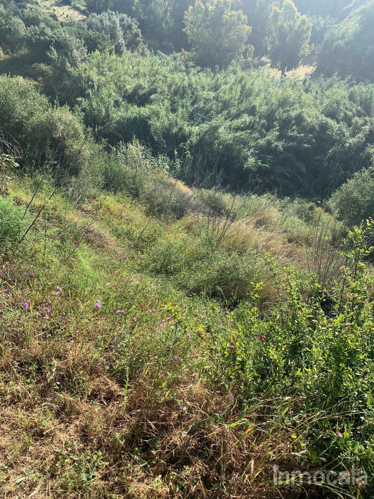 For sale of land in Mijas Golf