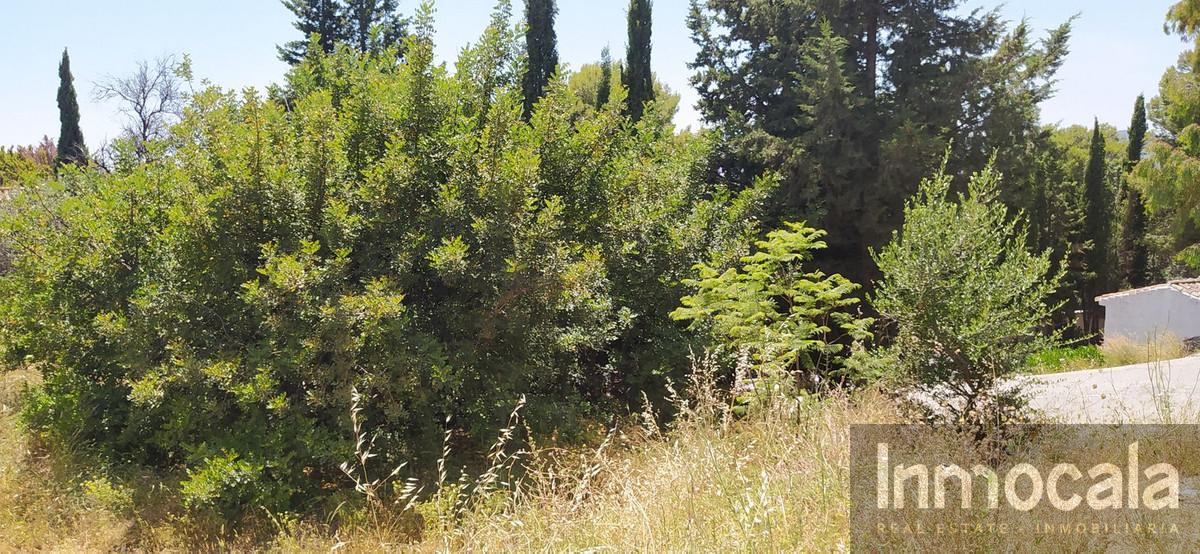 For sale of land in Mijas
