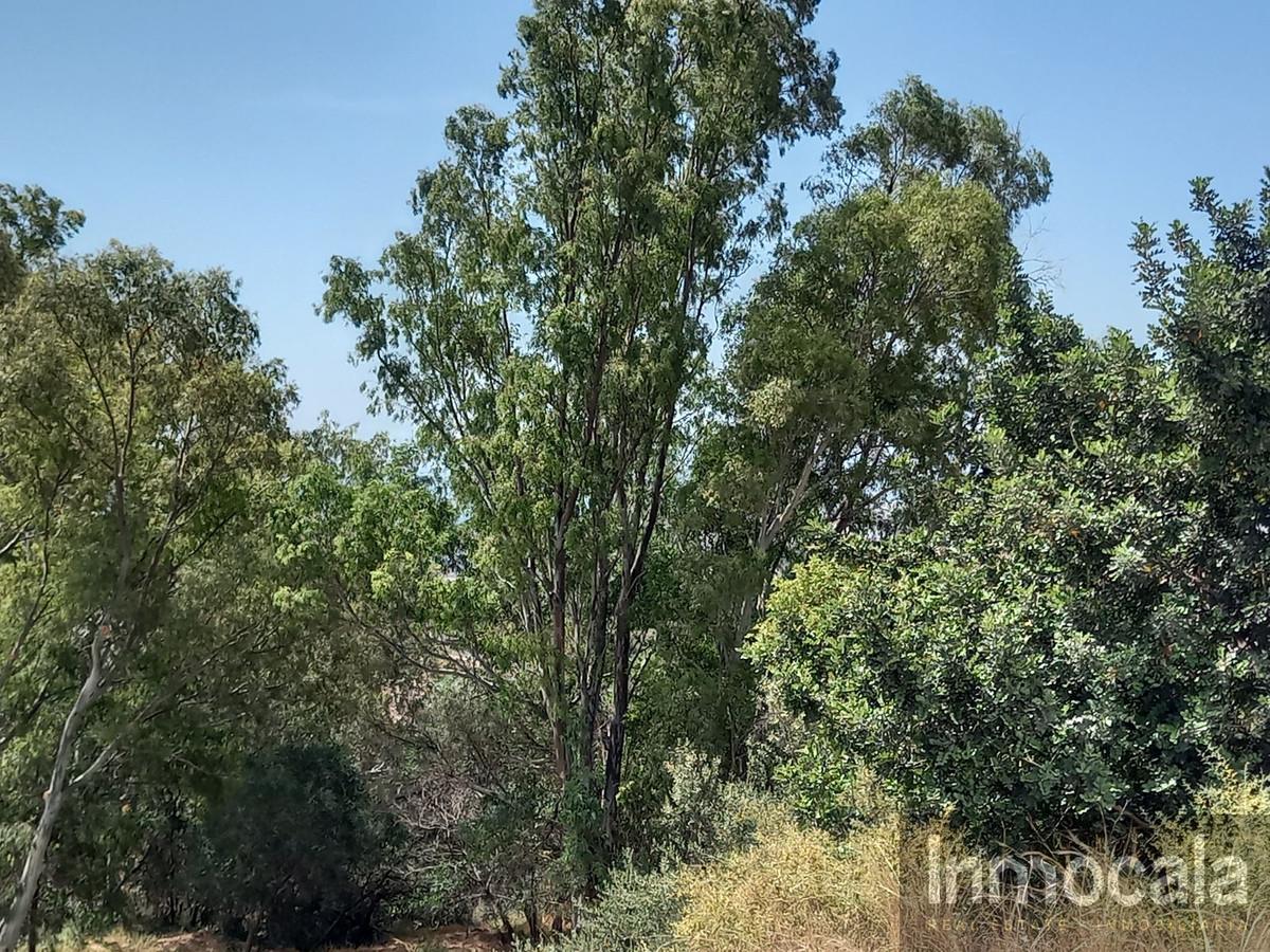 Venta de terreno en Mijas