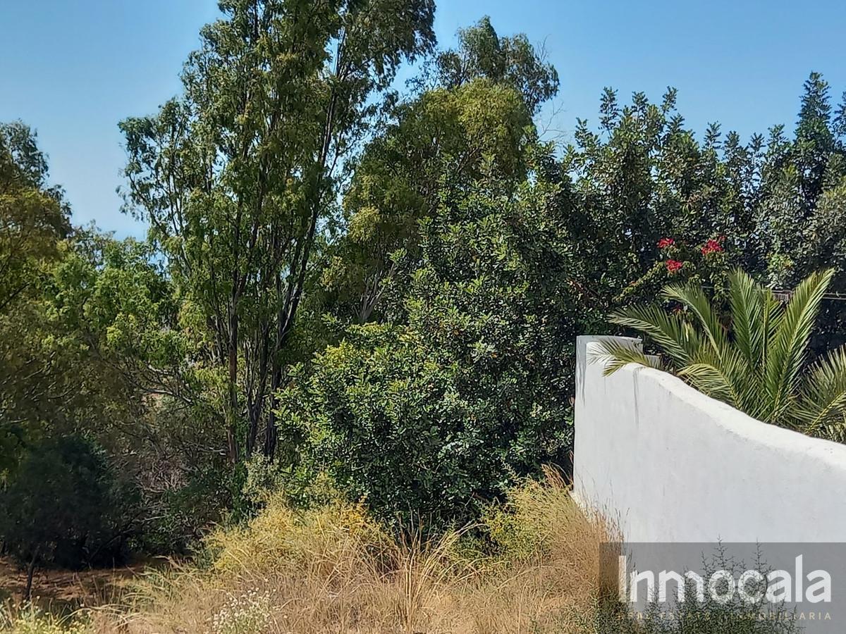 Venta de terreno en Mijas