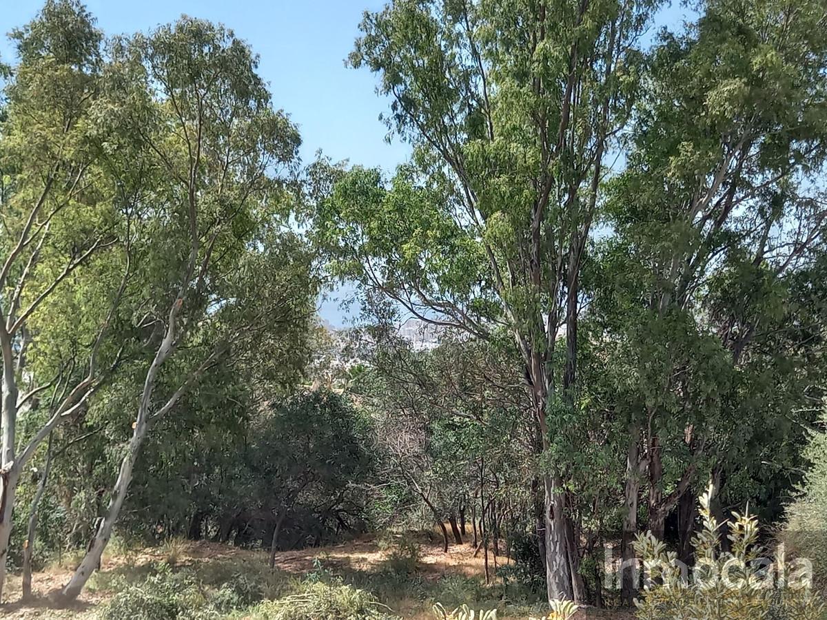 Venta de terreno en Mijas