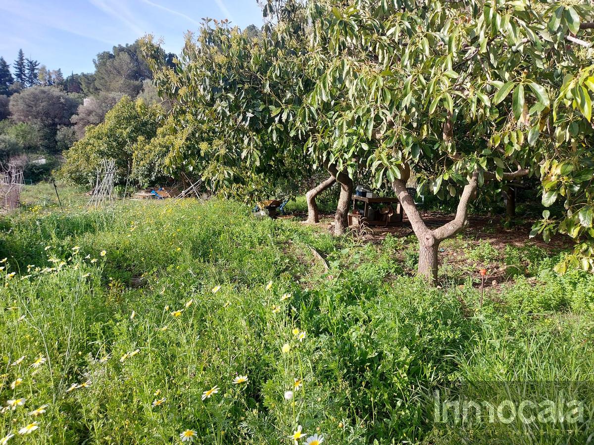 Venta de villa en Mijas