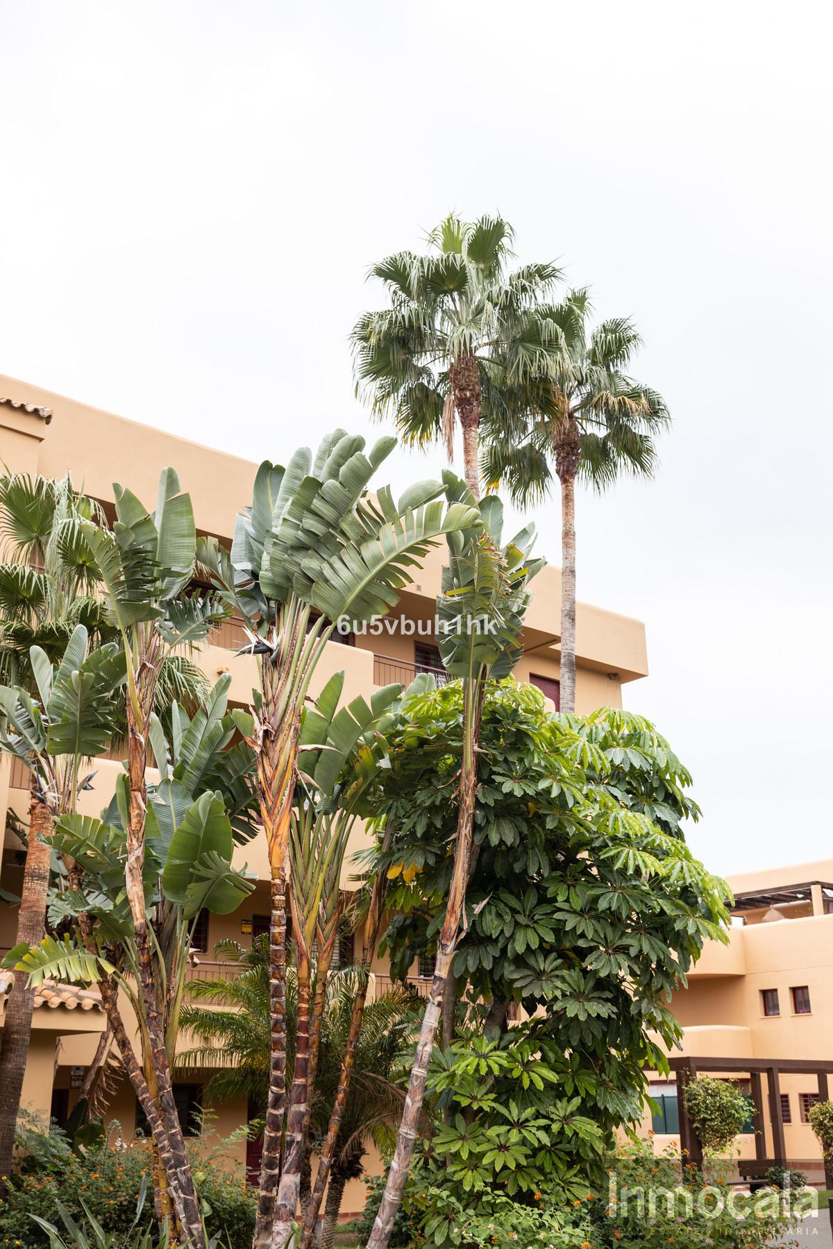For sale of apartment in Mijas Costa
