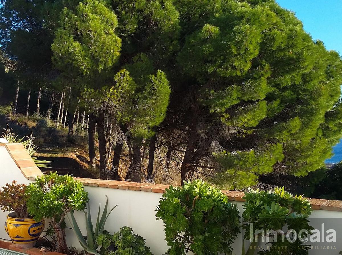 For sale of villa in Mijas