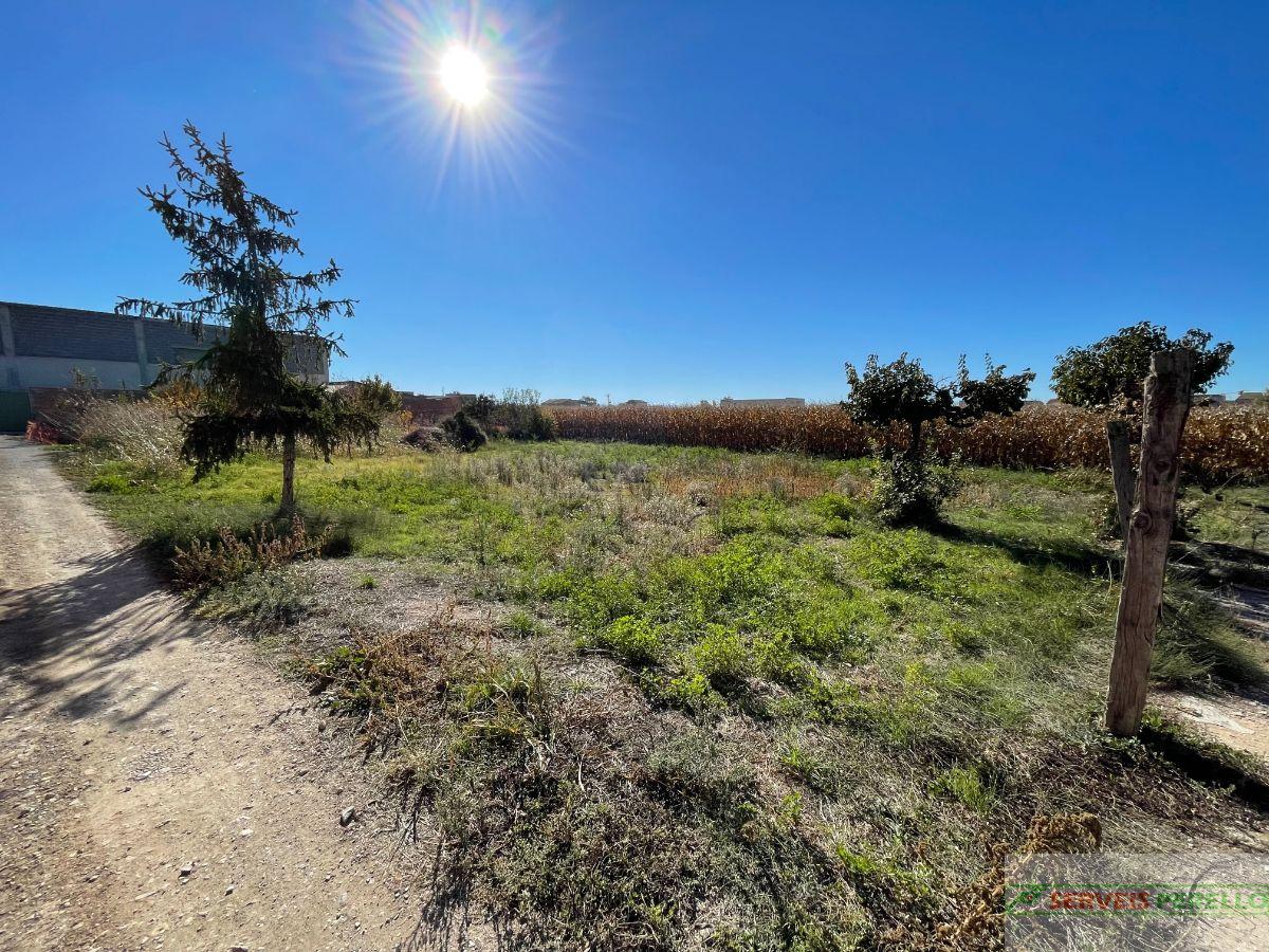 Venta de terreno en Vilanova de Bellpuig