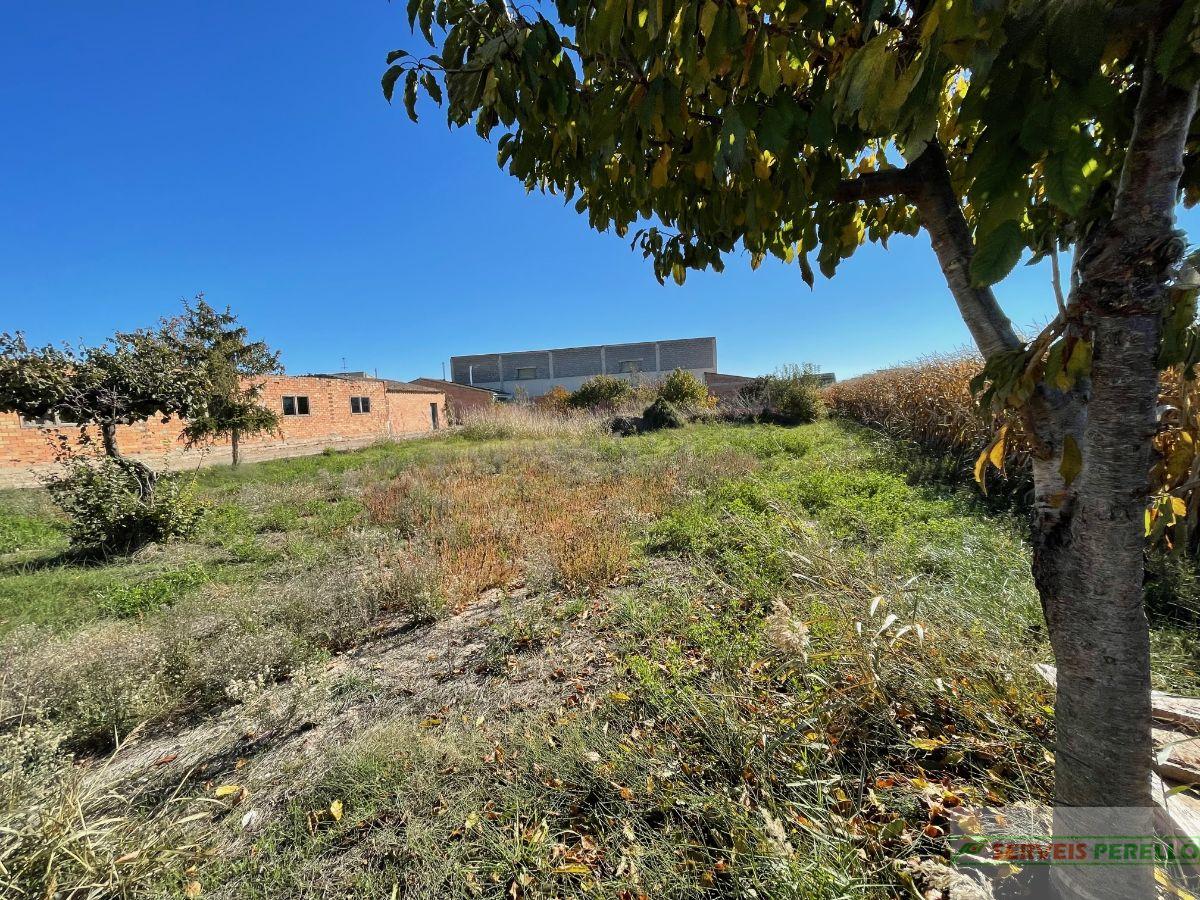 For sale of land in Vilanova de Bellpuig