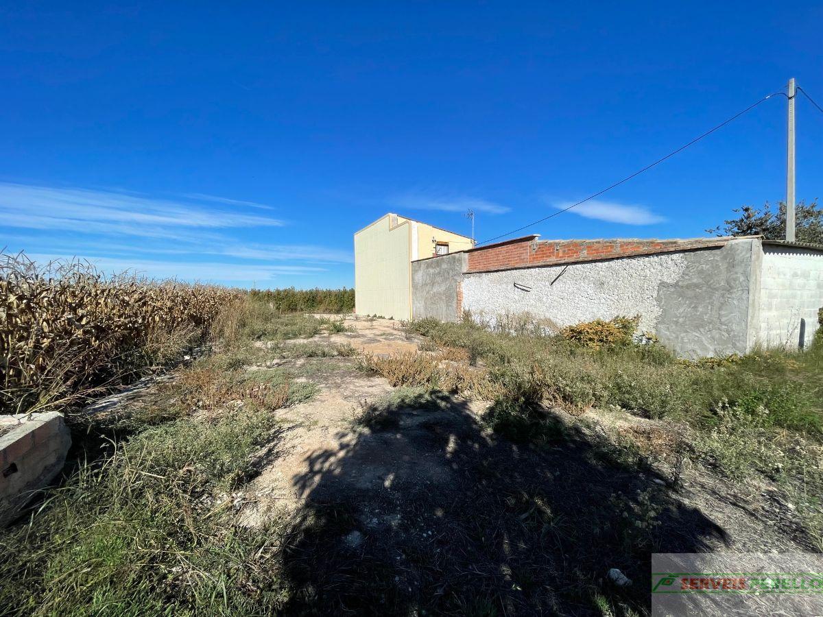 For sale of land in Vilanova de Bellpuig