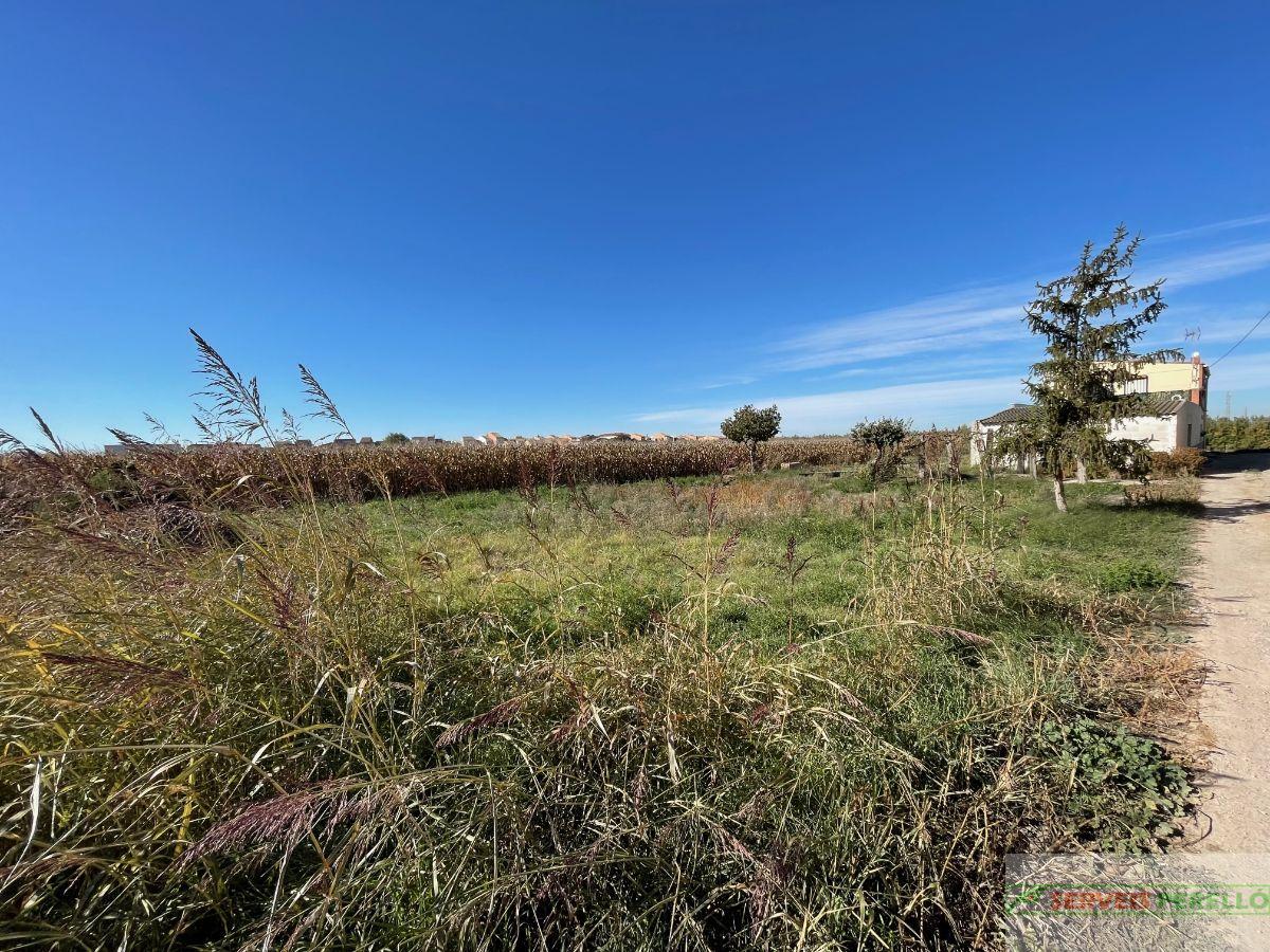 For sale of land in Vilanova de Bellpuig