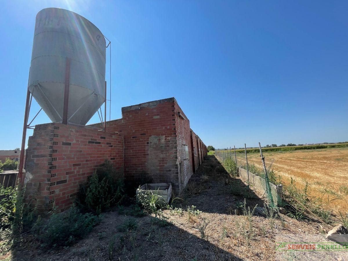 Venta de finca rústica en Vila-Sana