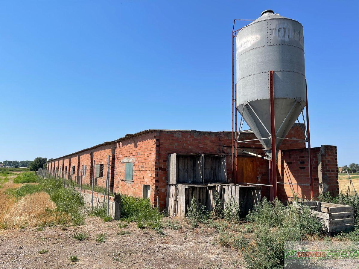 Venta de finca rústica en Vila-Sana