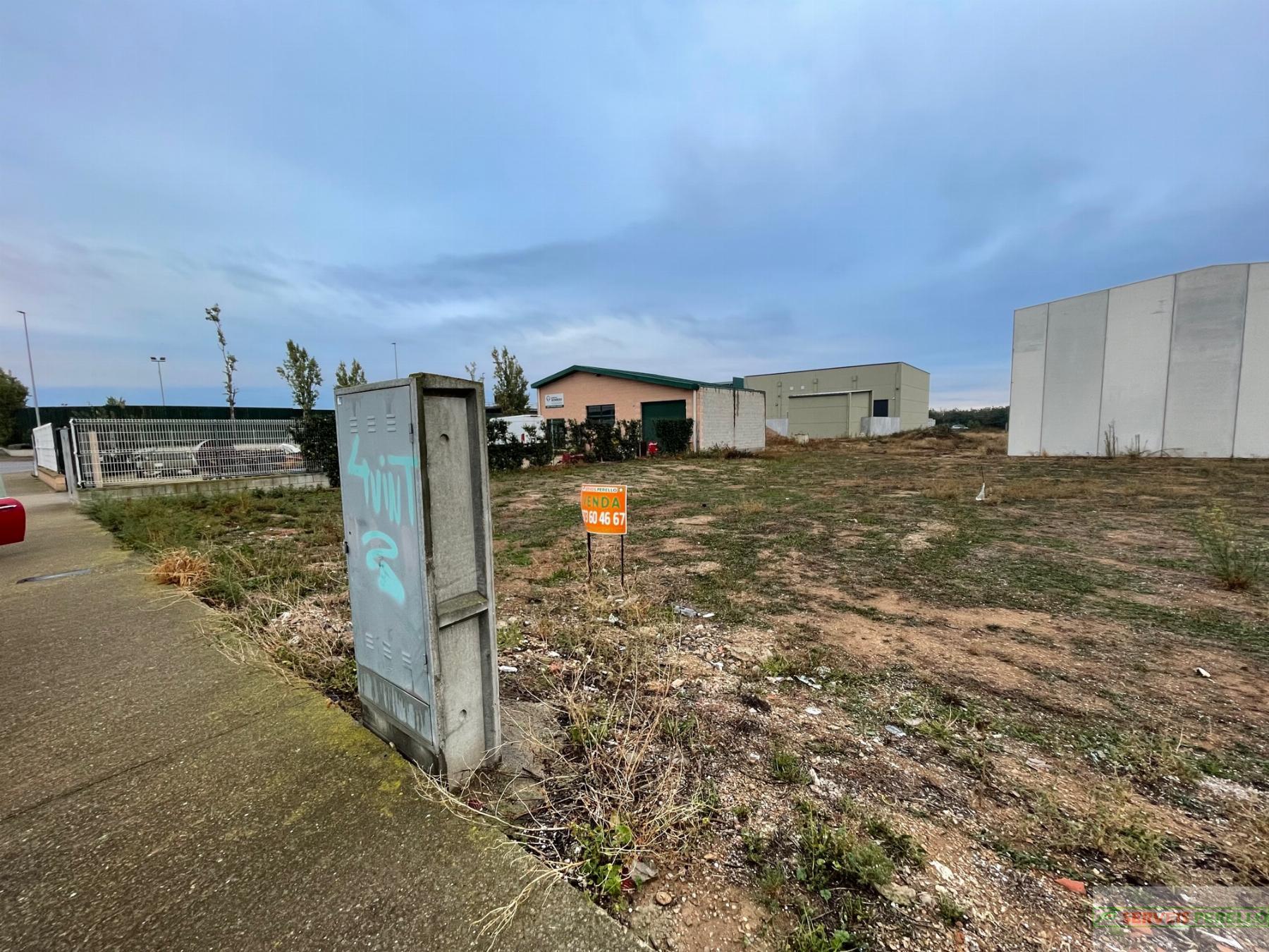 For sale of land in Palau de Anglesola