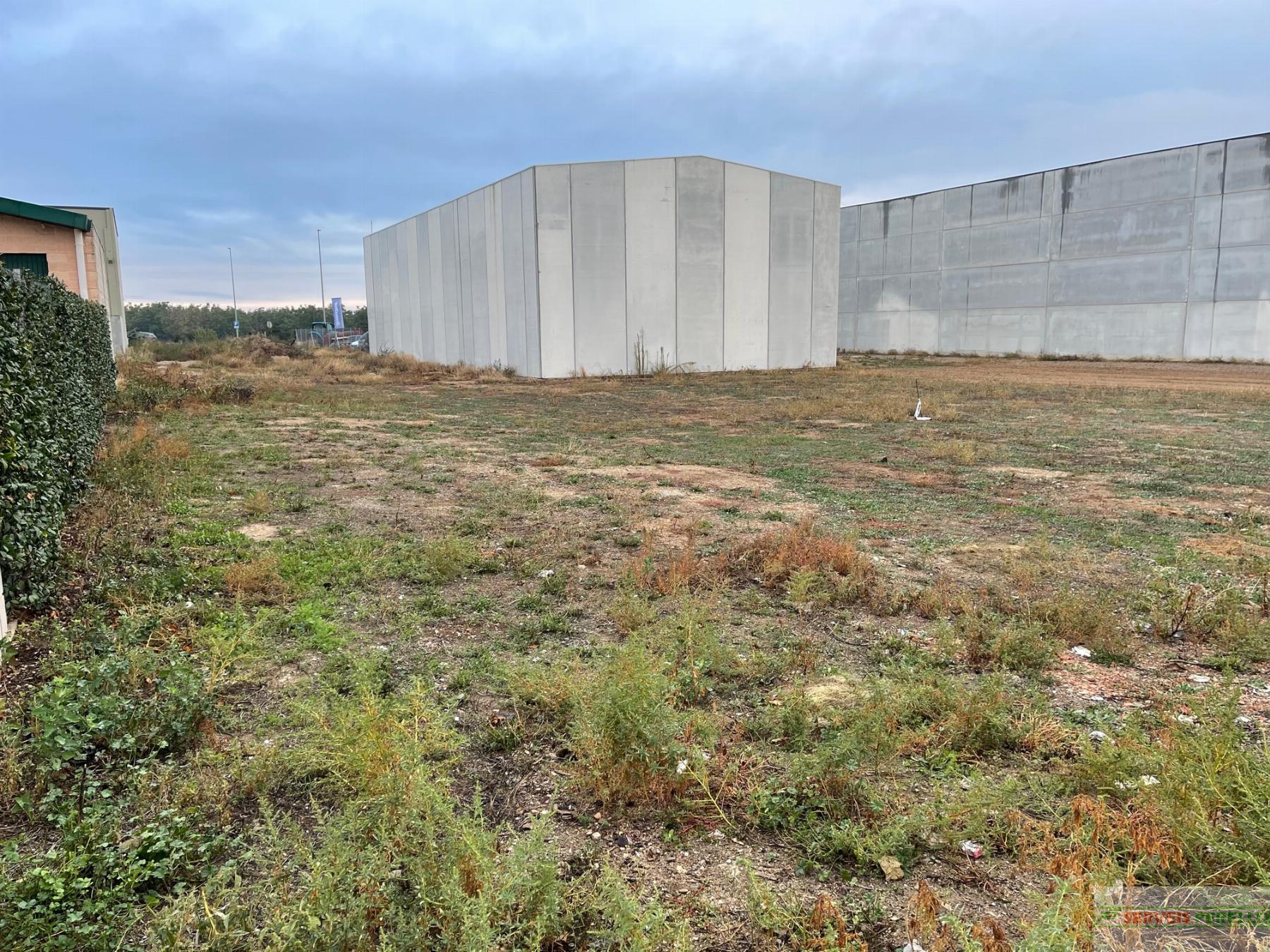 Venta de terreno en Palau de Anglesola