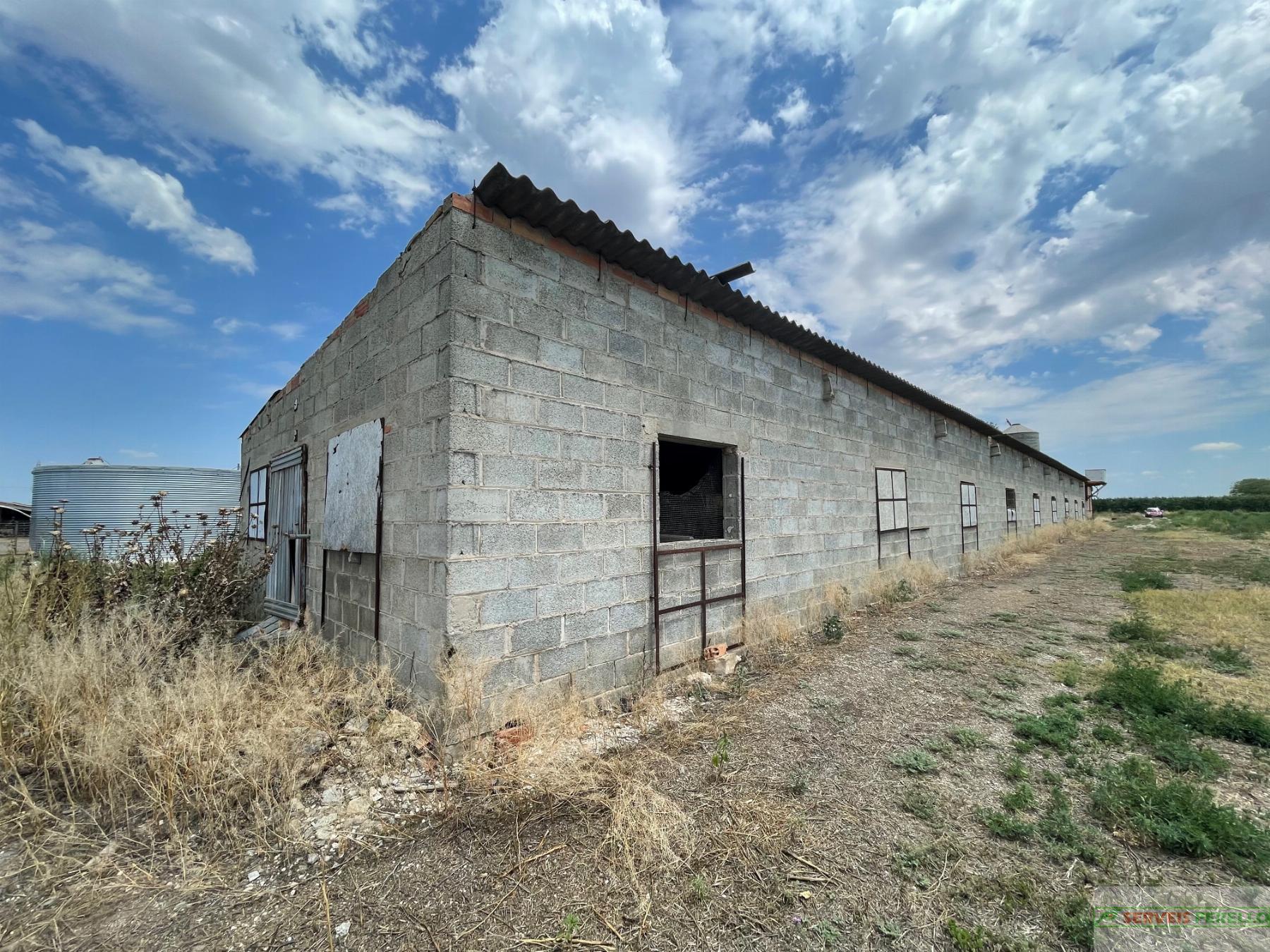 For sale of land in Bellpuig