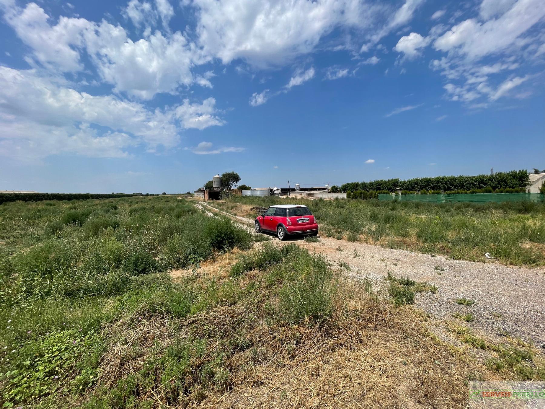 For sale of land in Bellpuig