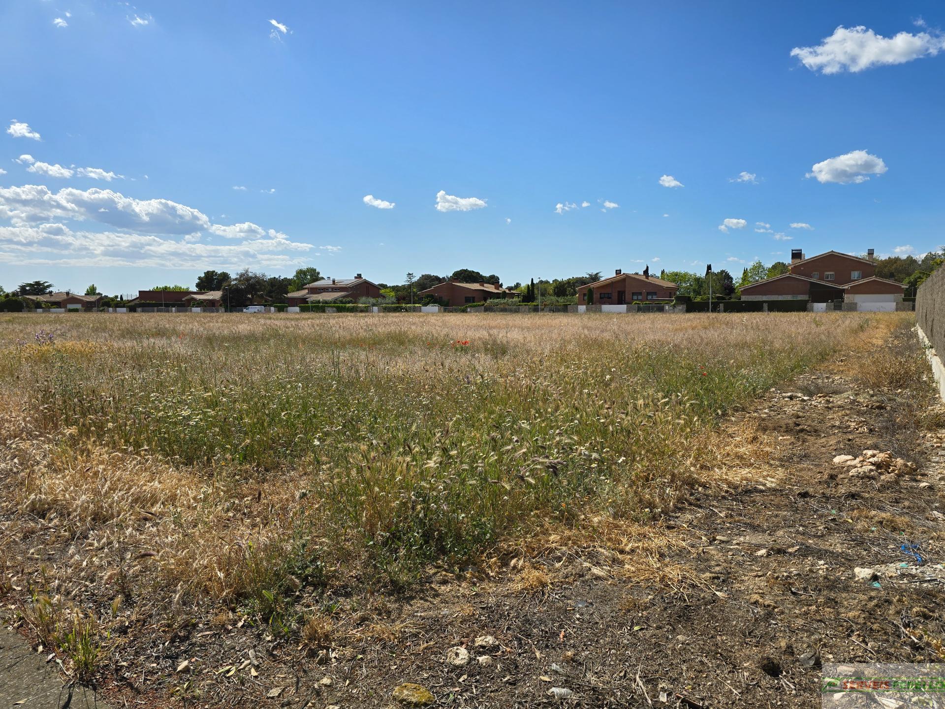 Venta de terreno en Raimat