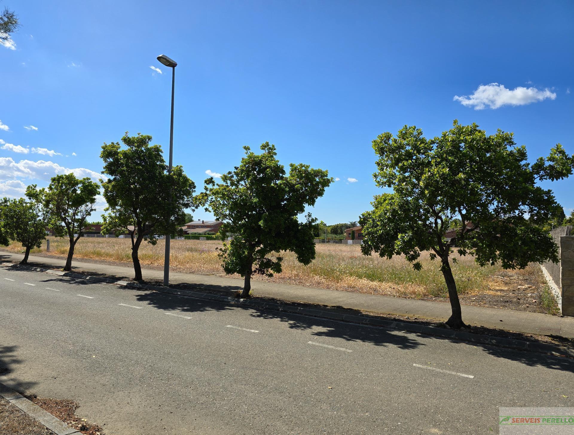 Venta de terreno en Raimat