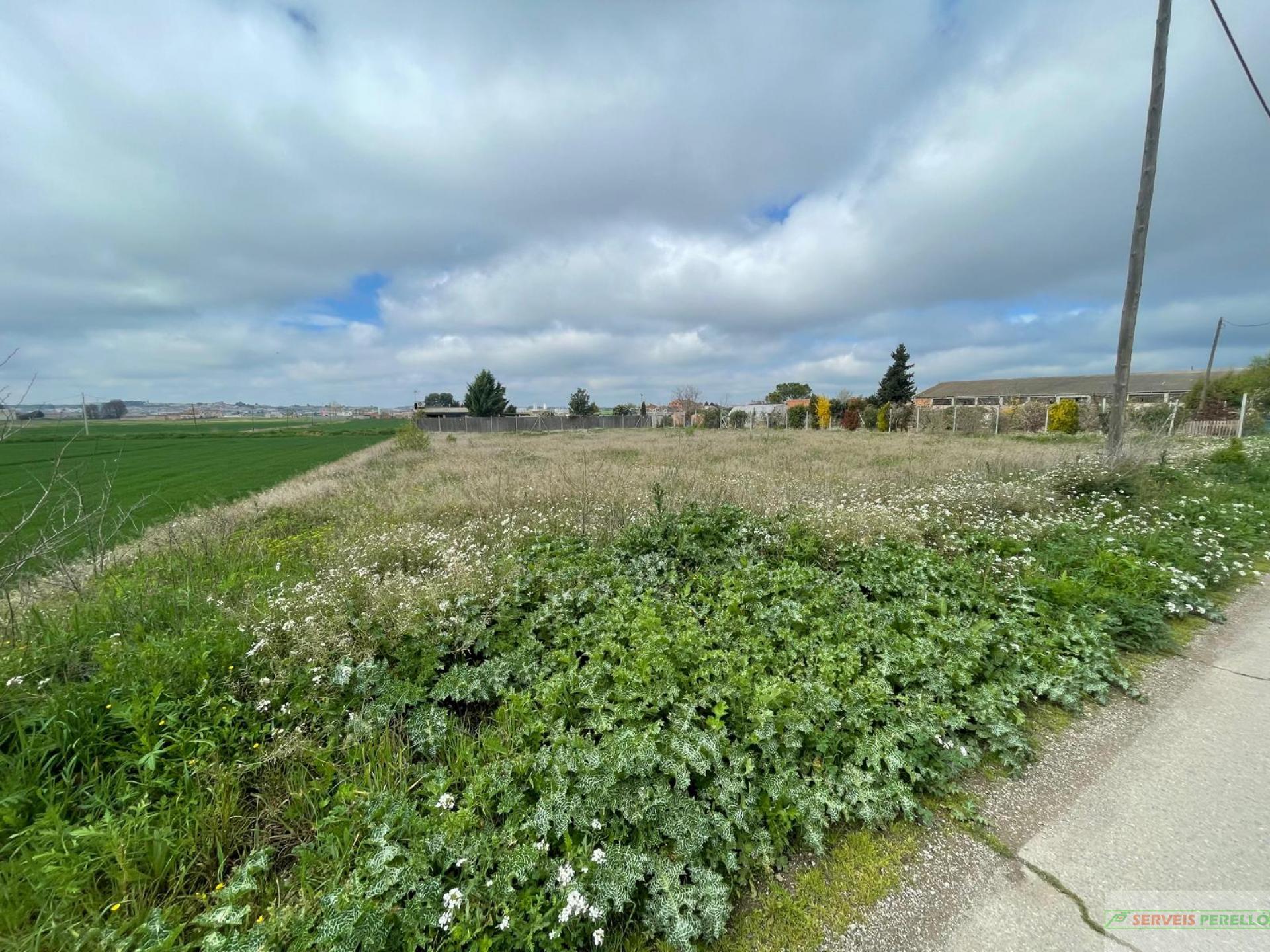 For sale of land in Mollerussa