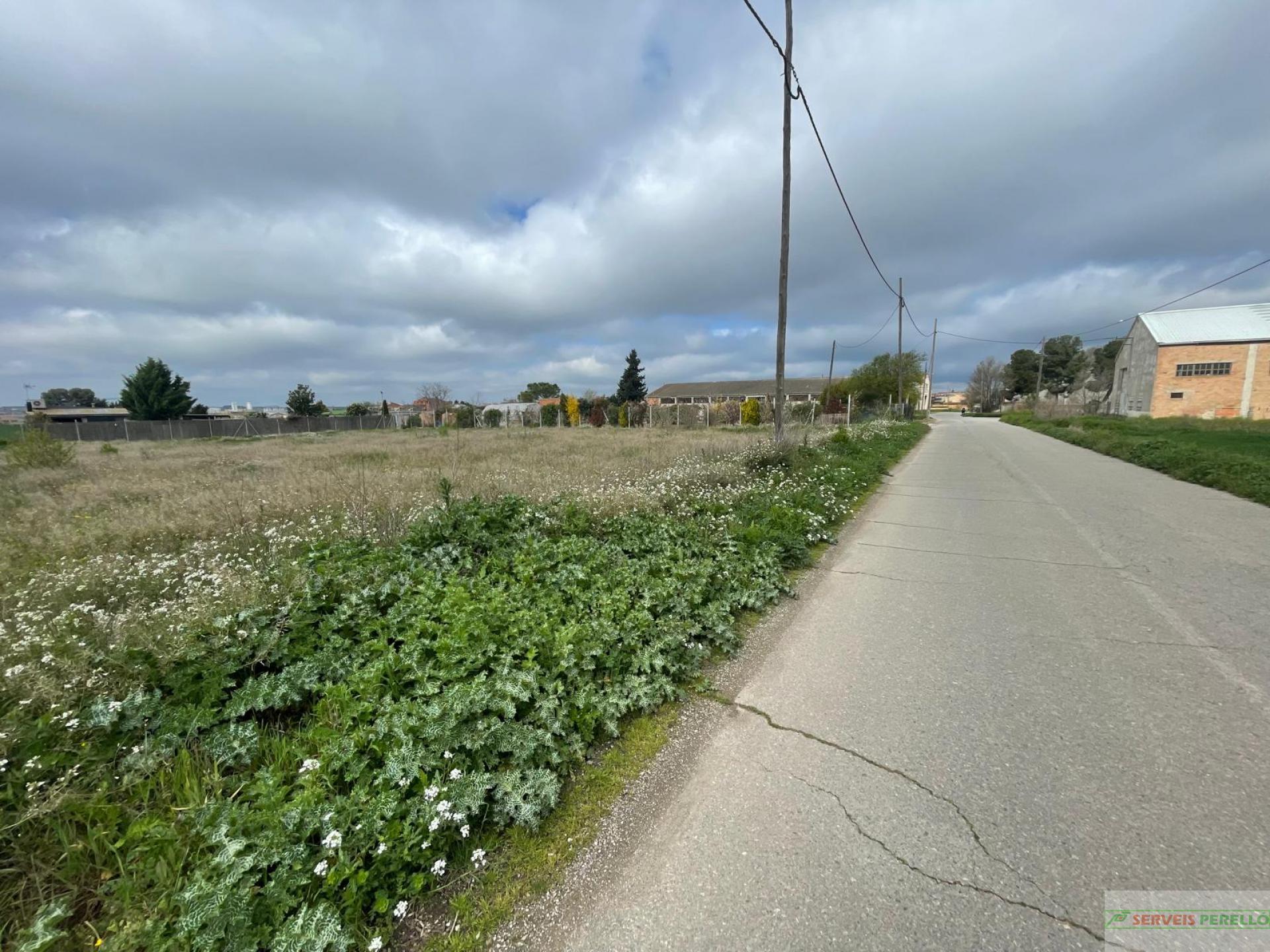 For sale of land in Mollerussa