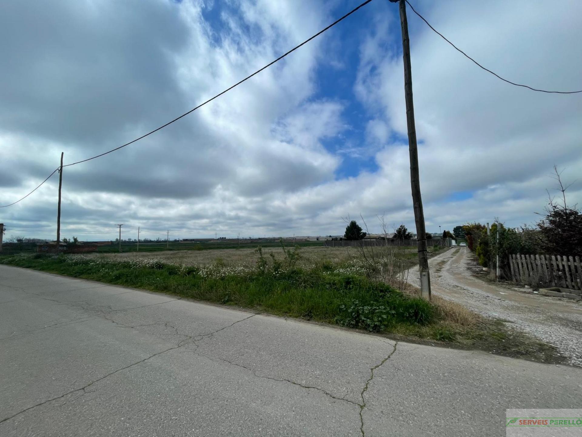 For sale of land in Mollerussa