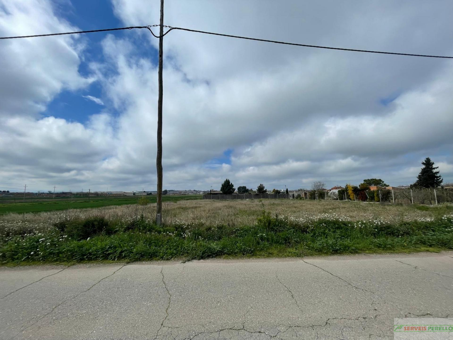 For sale of land in Mollerussa