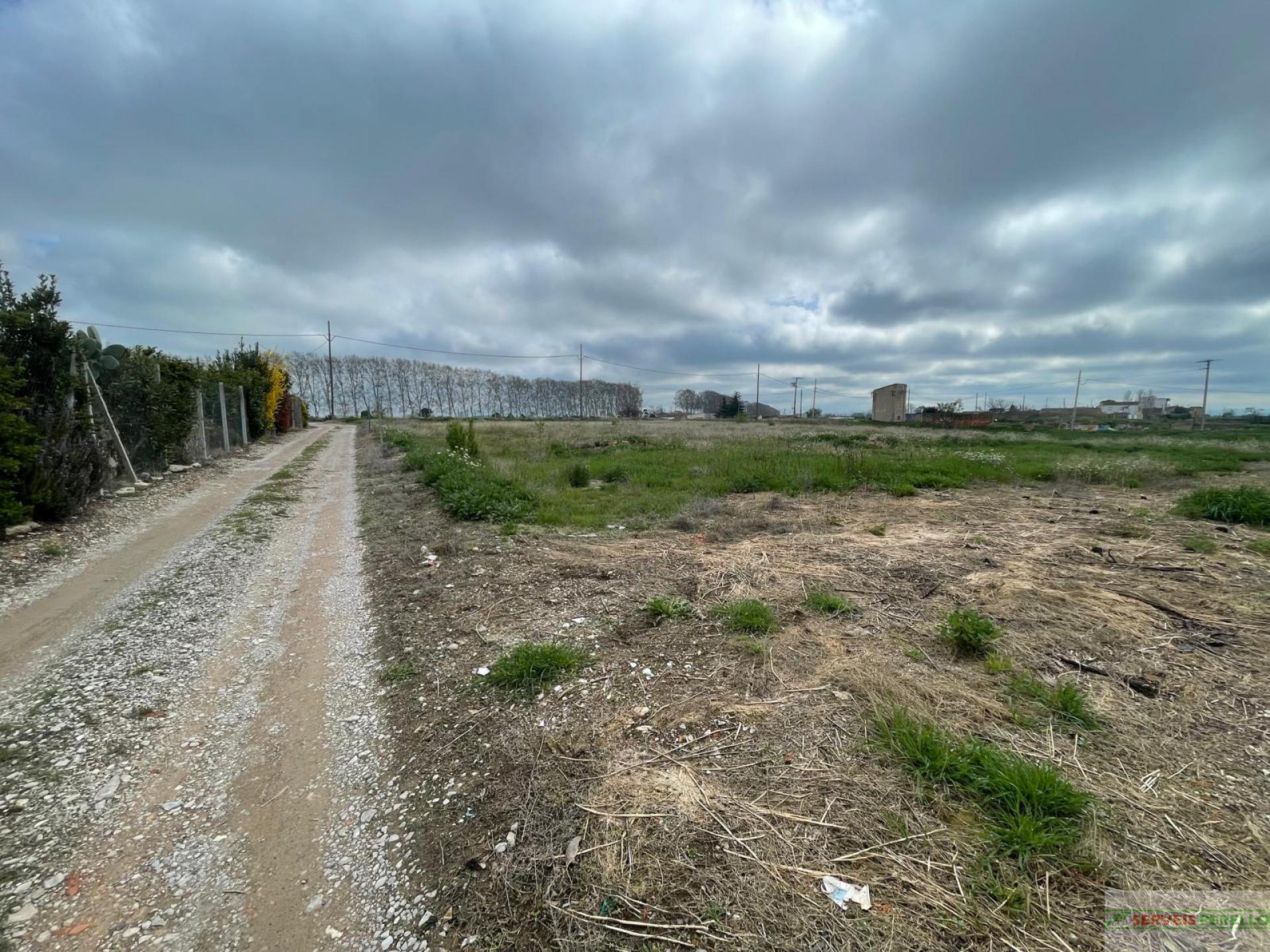 For sale of land in Mollerussa