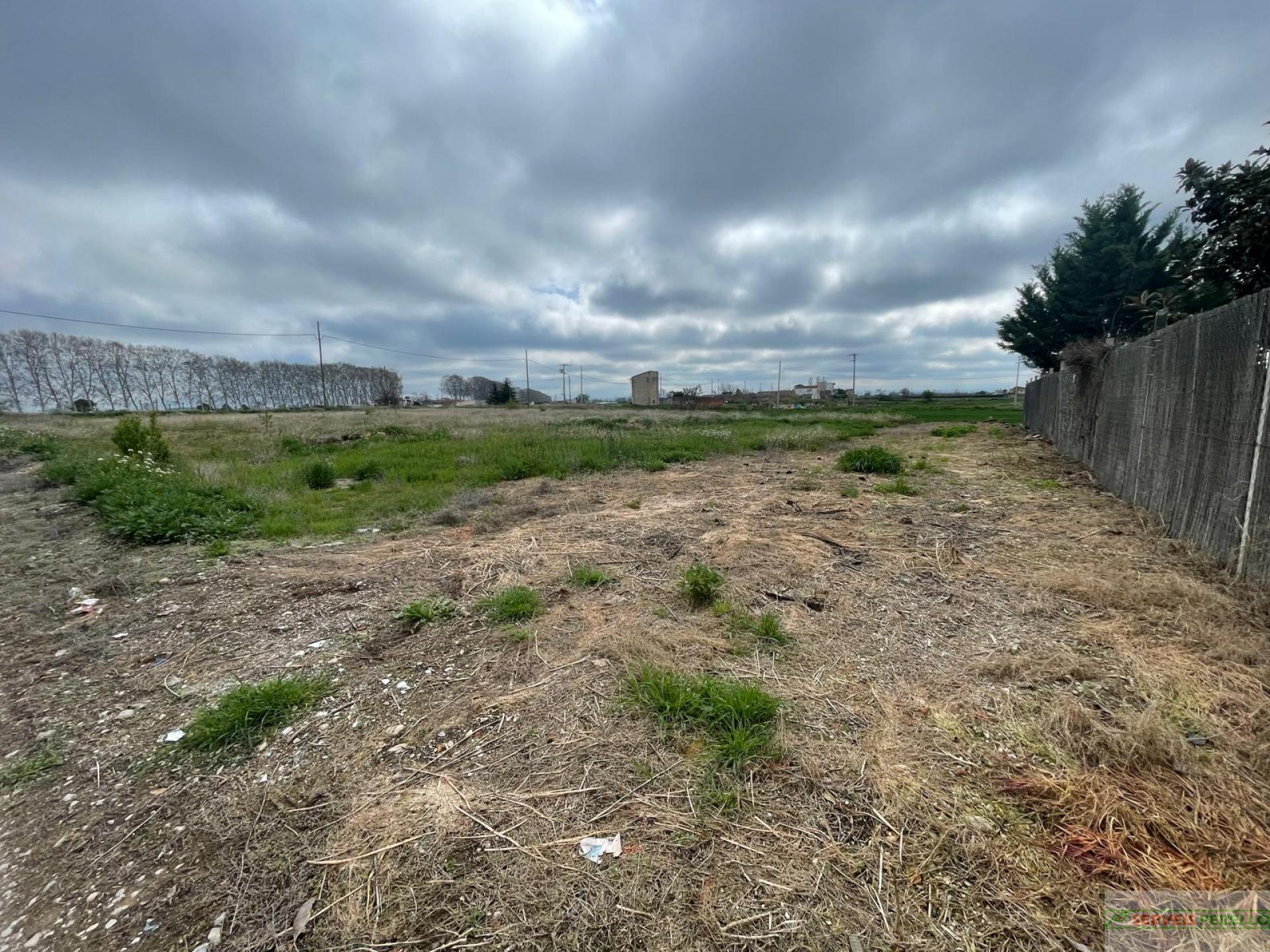 For sale of land in Mollerussa