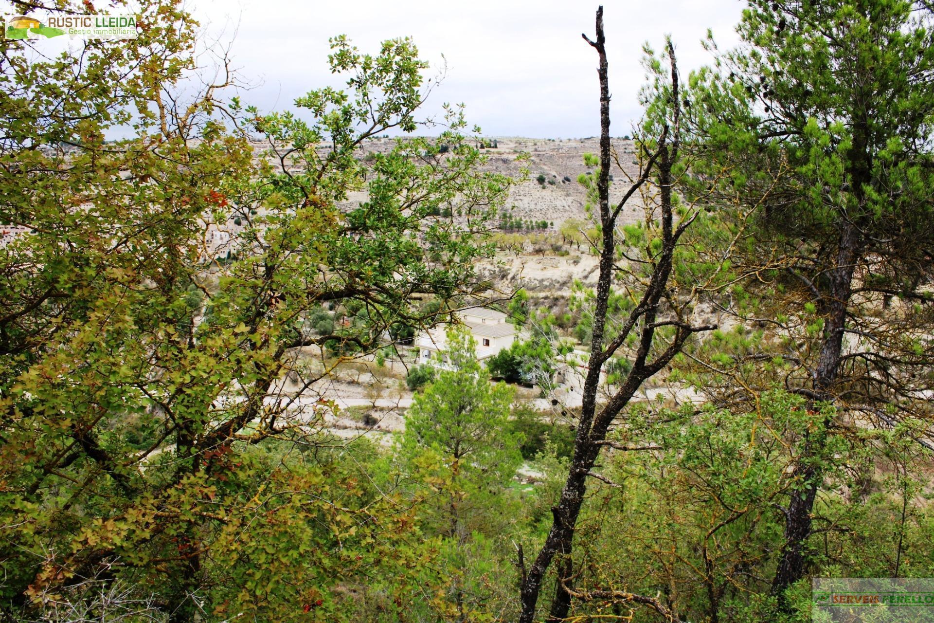For sale of chalet in Guimerà