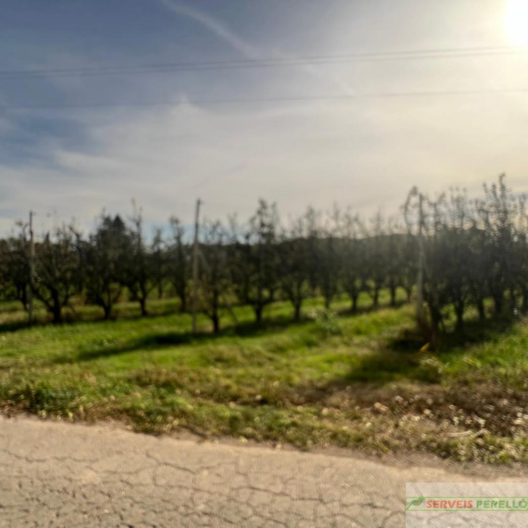 Venta de terreno en Golmes