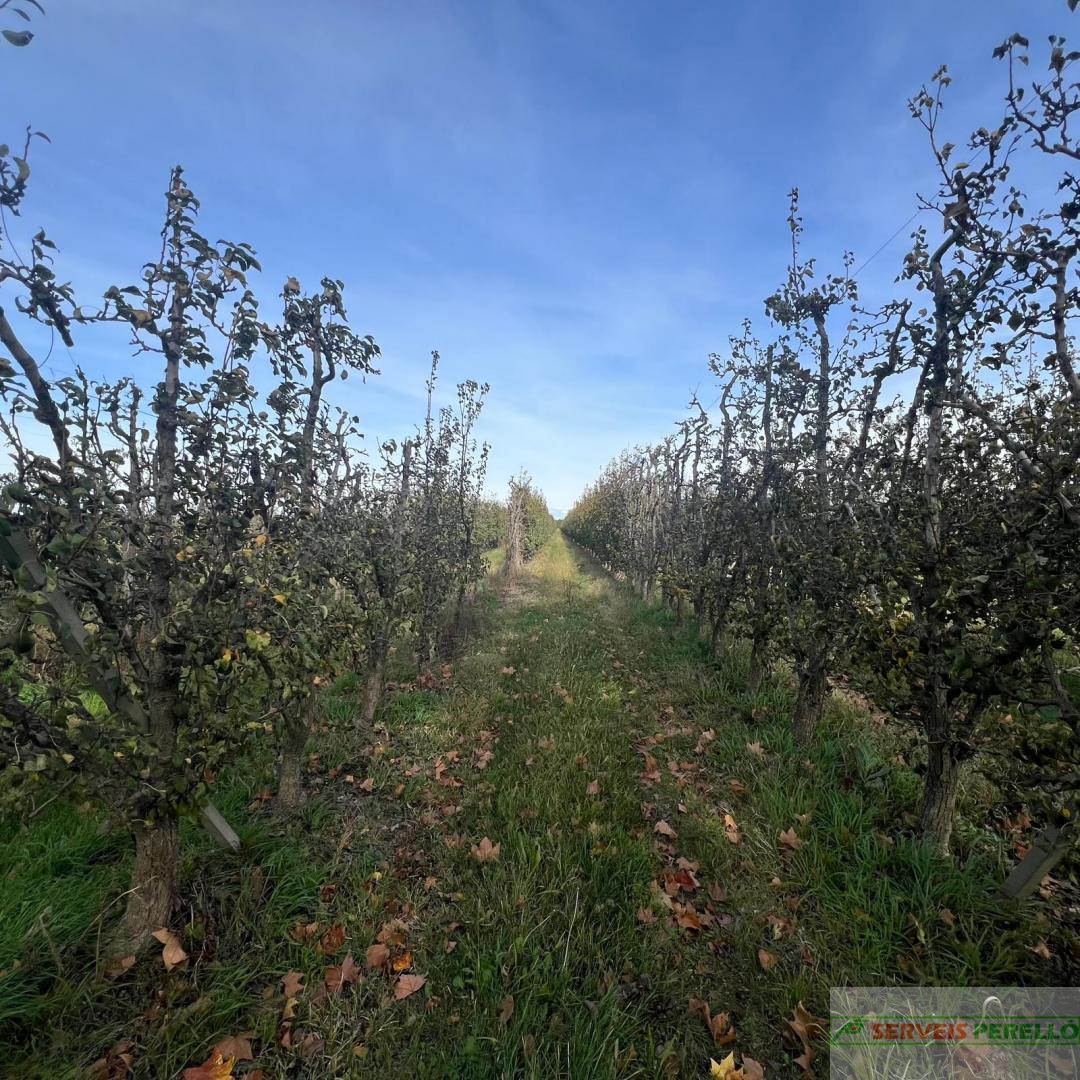 Venta de terreno en Golmes