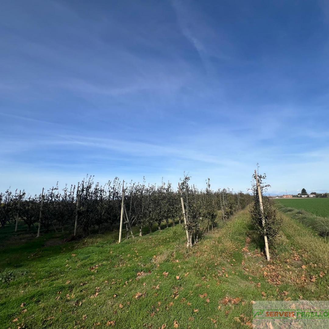 Venta de terreno en Golmes