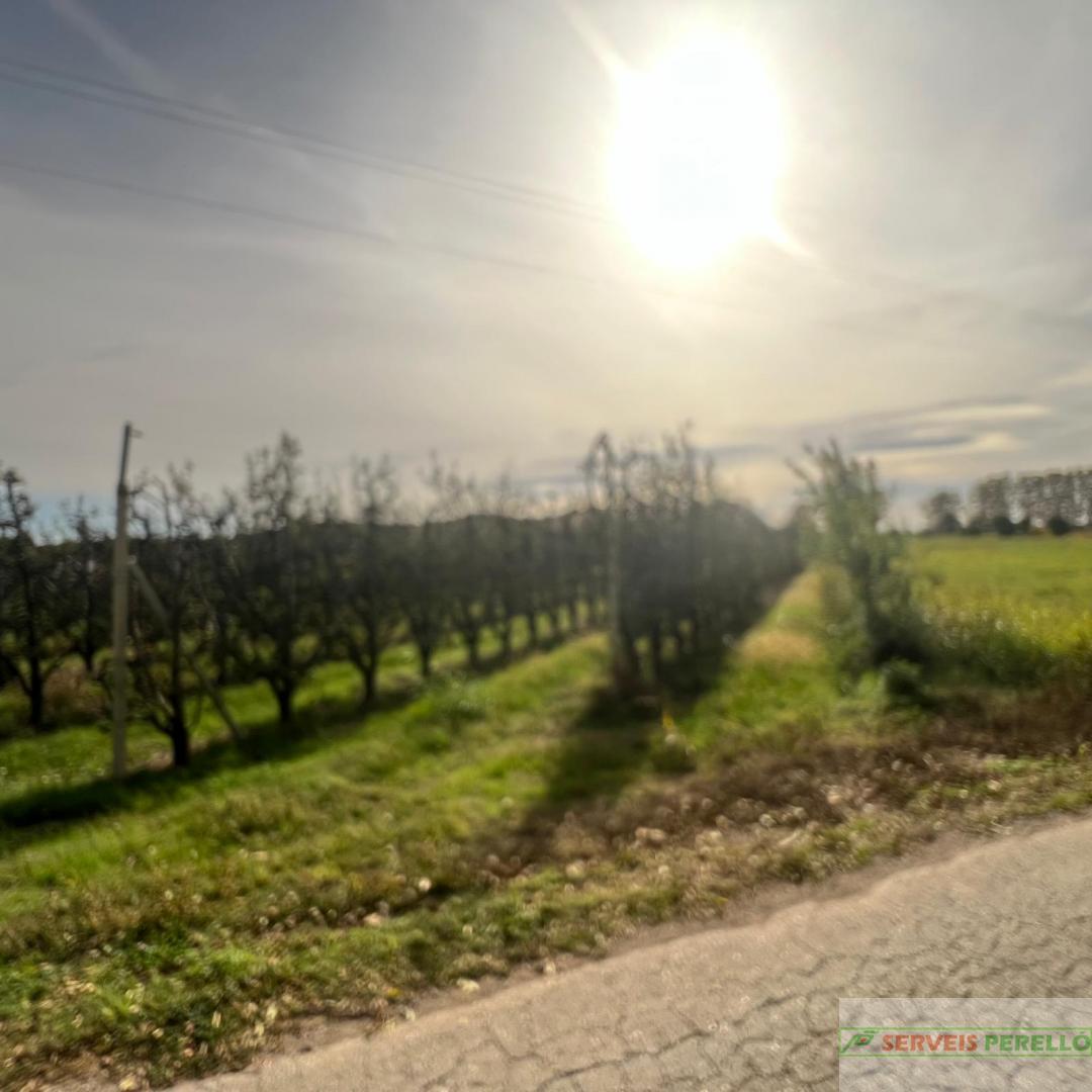 Venta de terreno en Golmes