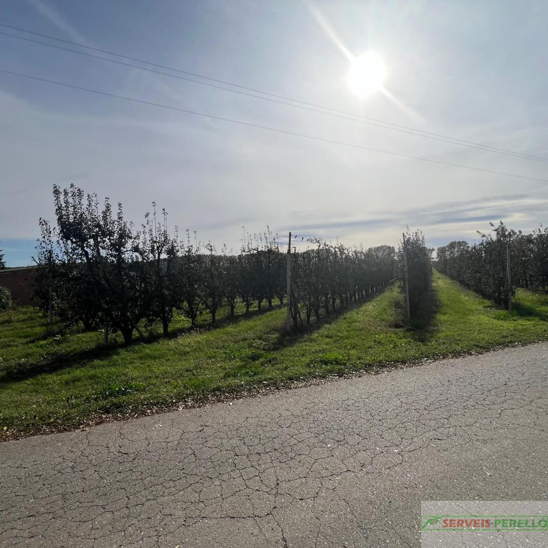 Venta de terreno en Golmes