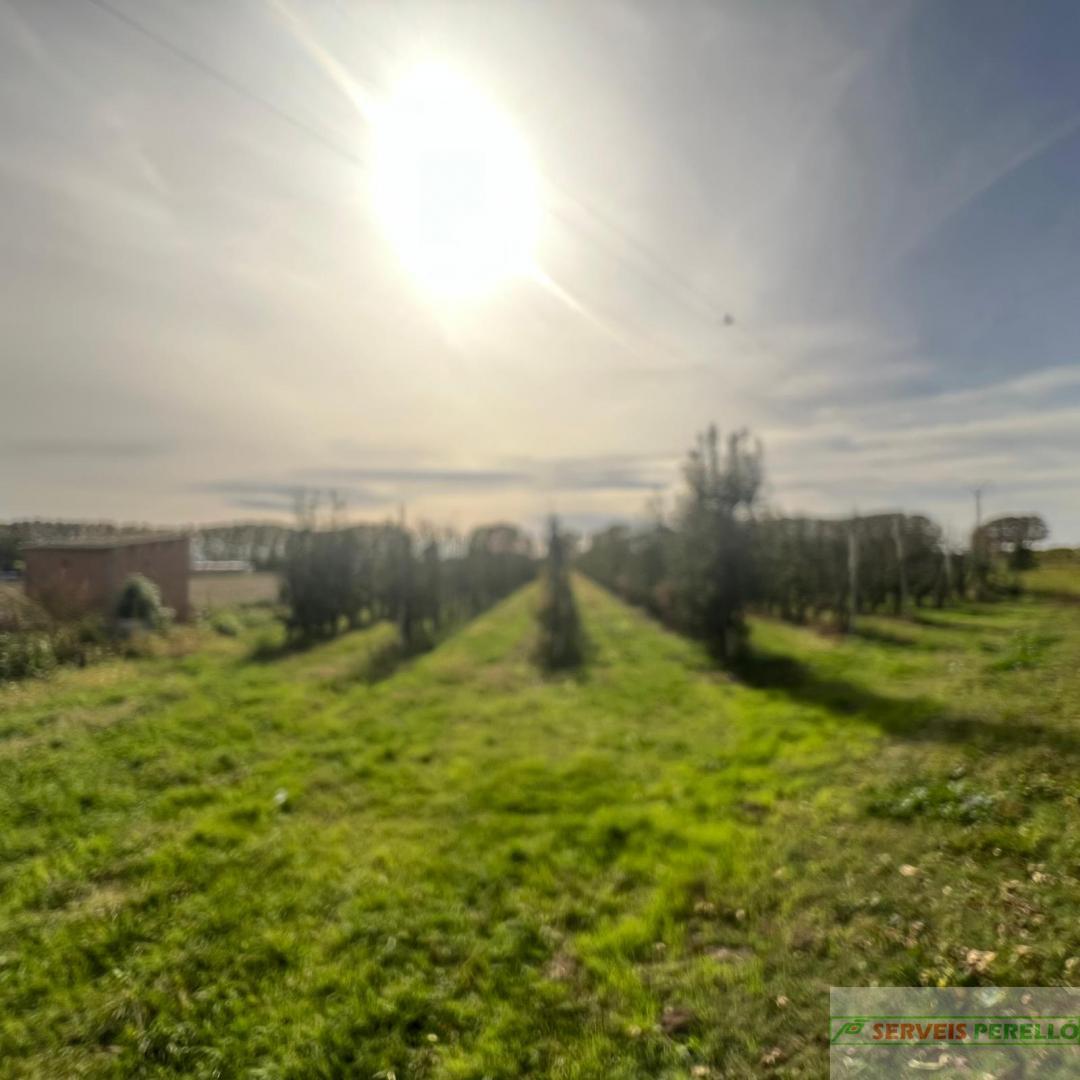 Venta de terreno en Golmes