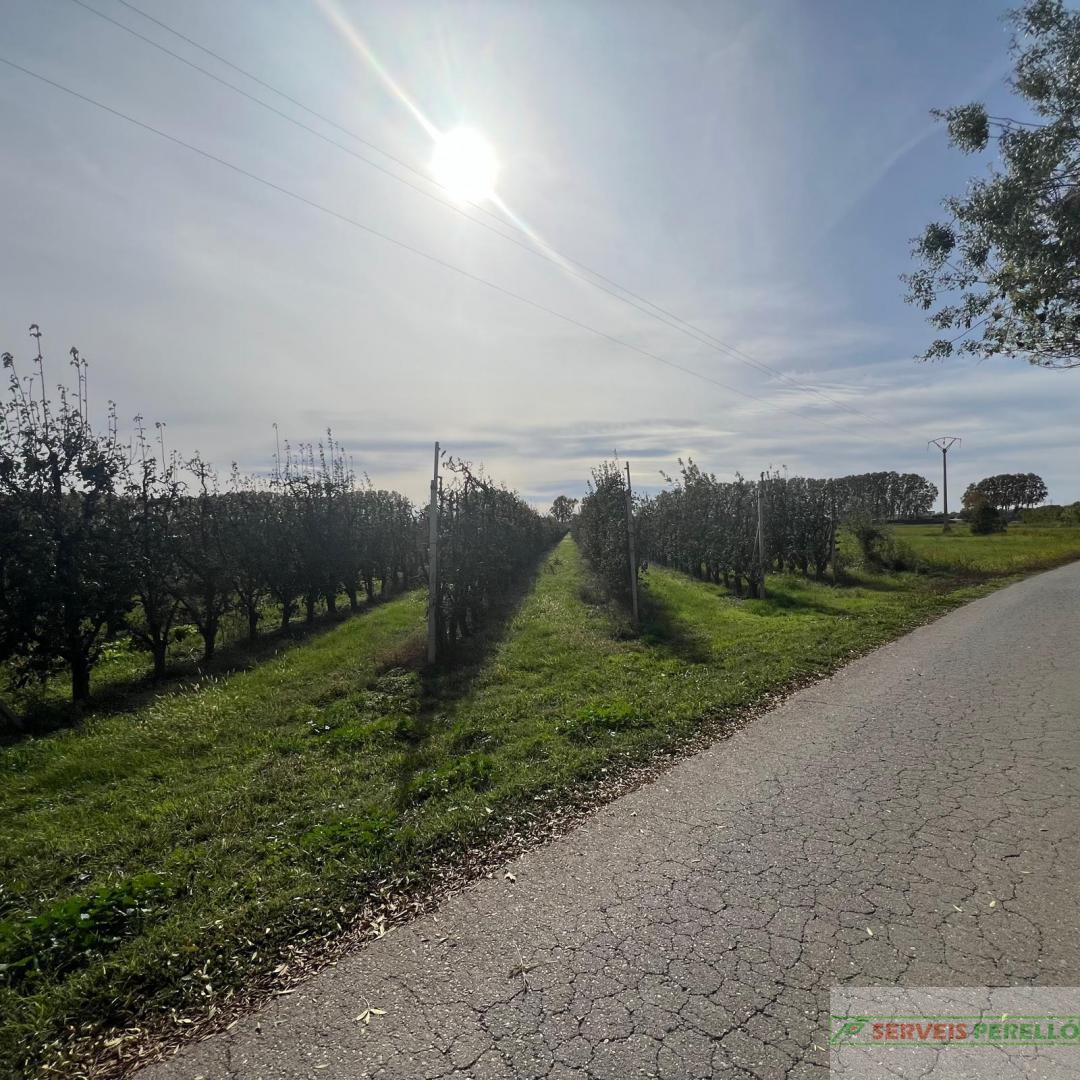 Venta de terreno en Golmes