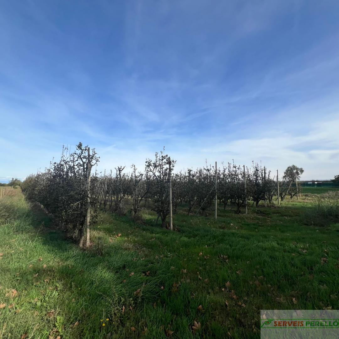 Venta de terreno en Golmes