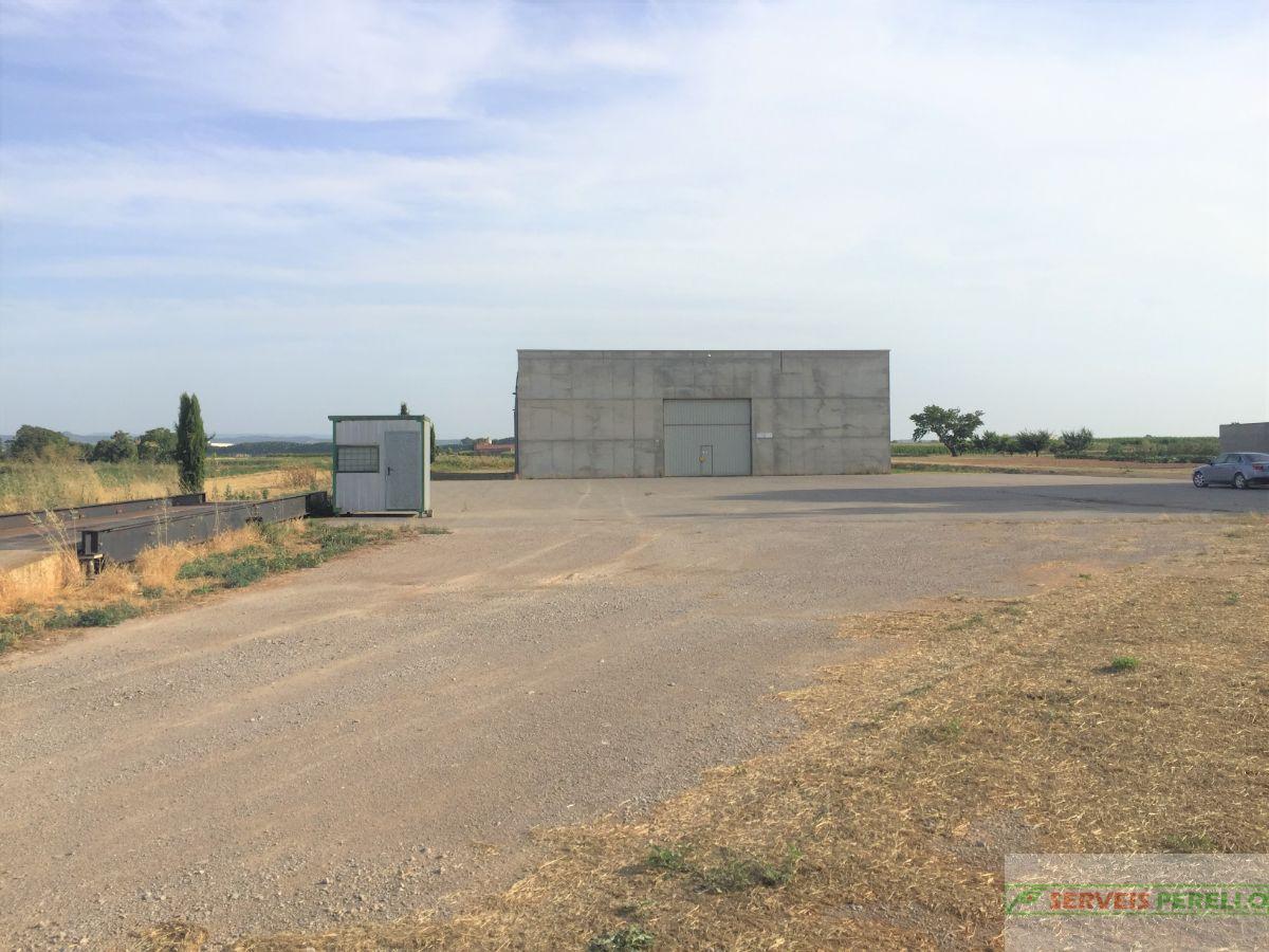 For sale of industrial plant/warehouse in Torregrossa