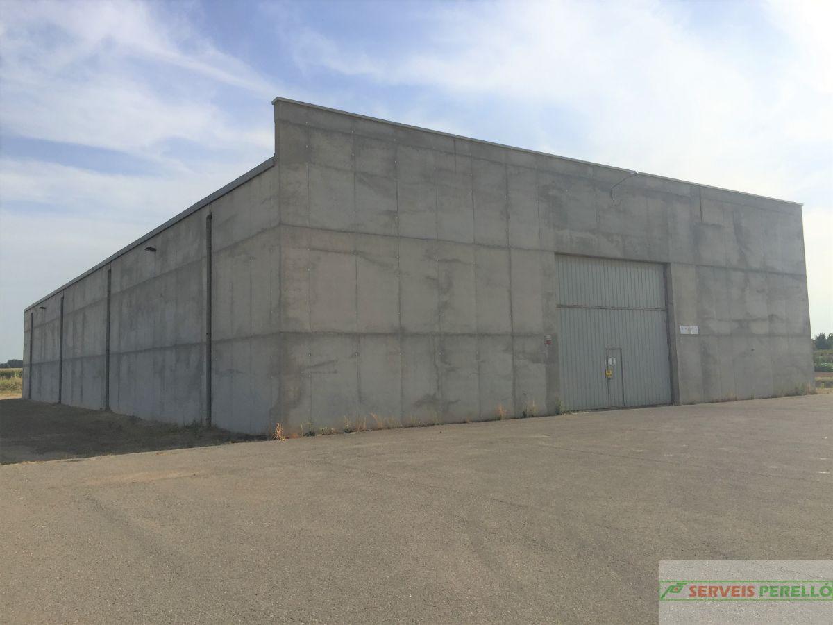 For sale of industrial plant/warehouse in Torregrossa