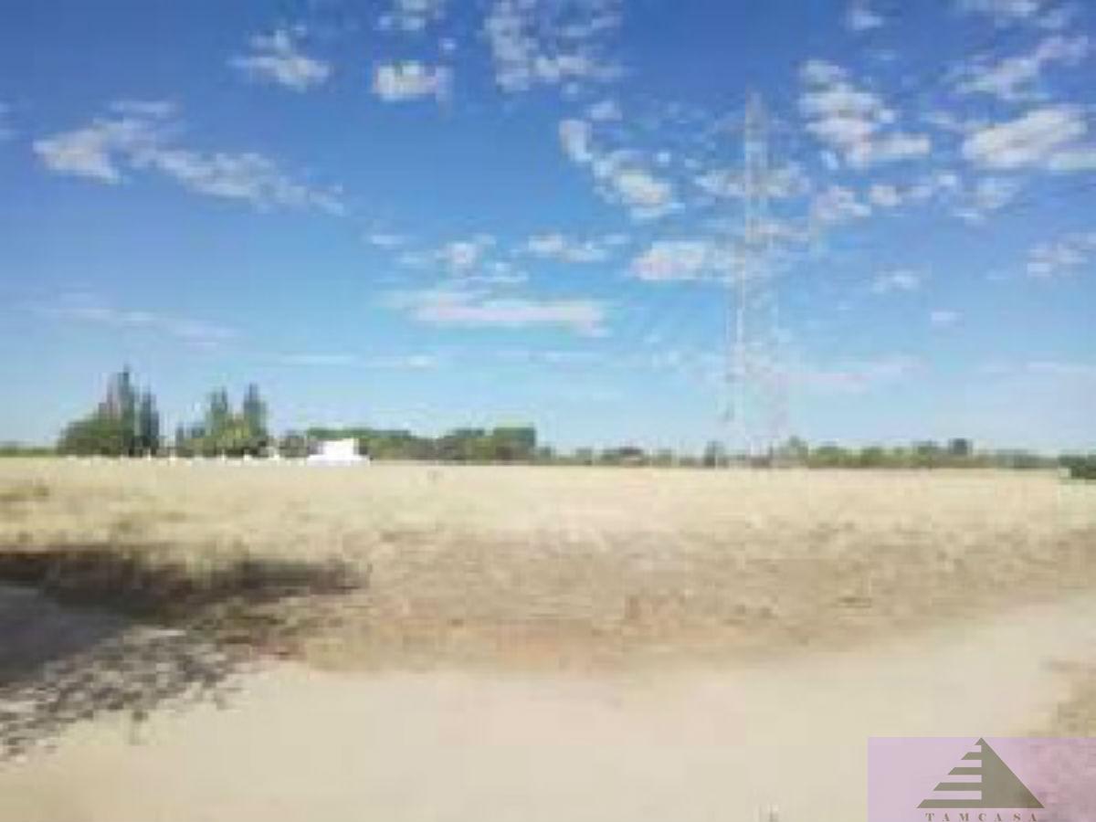 For sale of land in Ugena