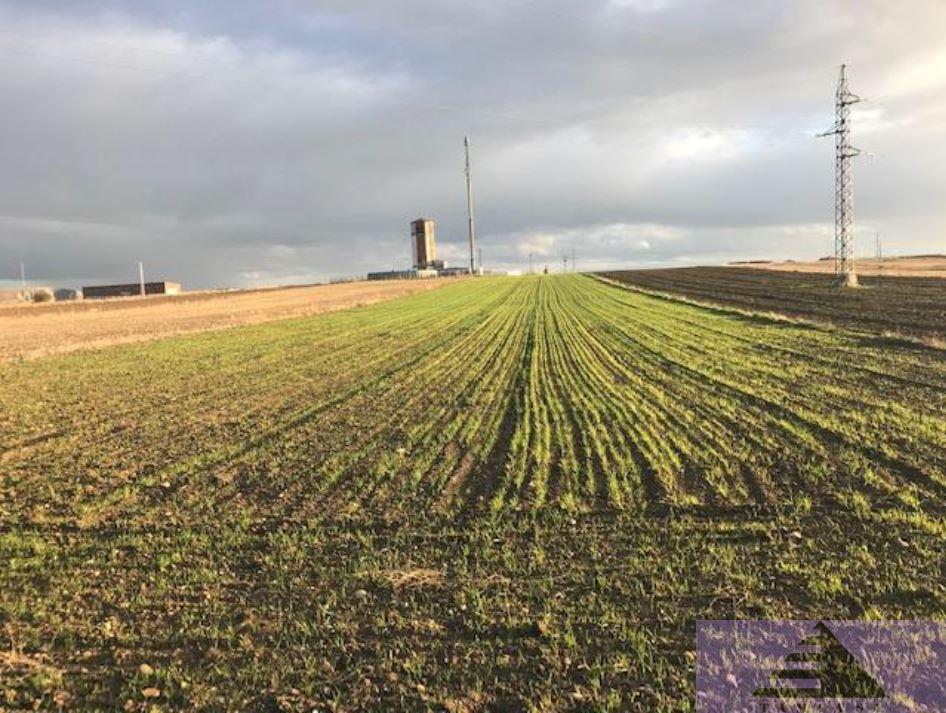 Venta de terreno en Cabañas de la Sagra